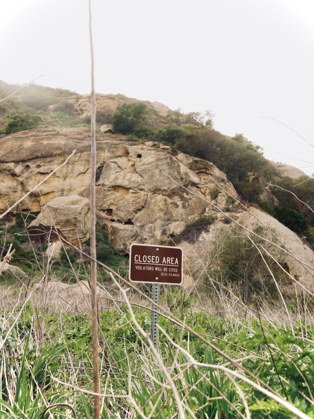 a sign that is in the grass near a rock