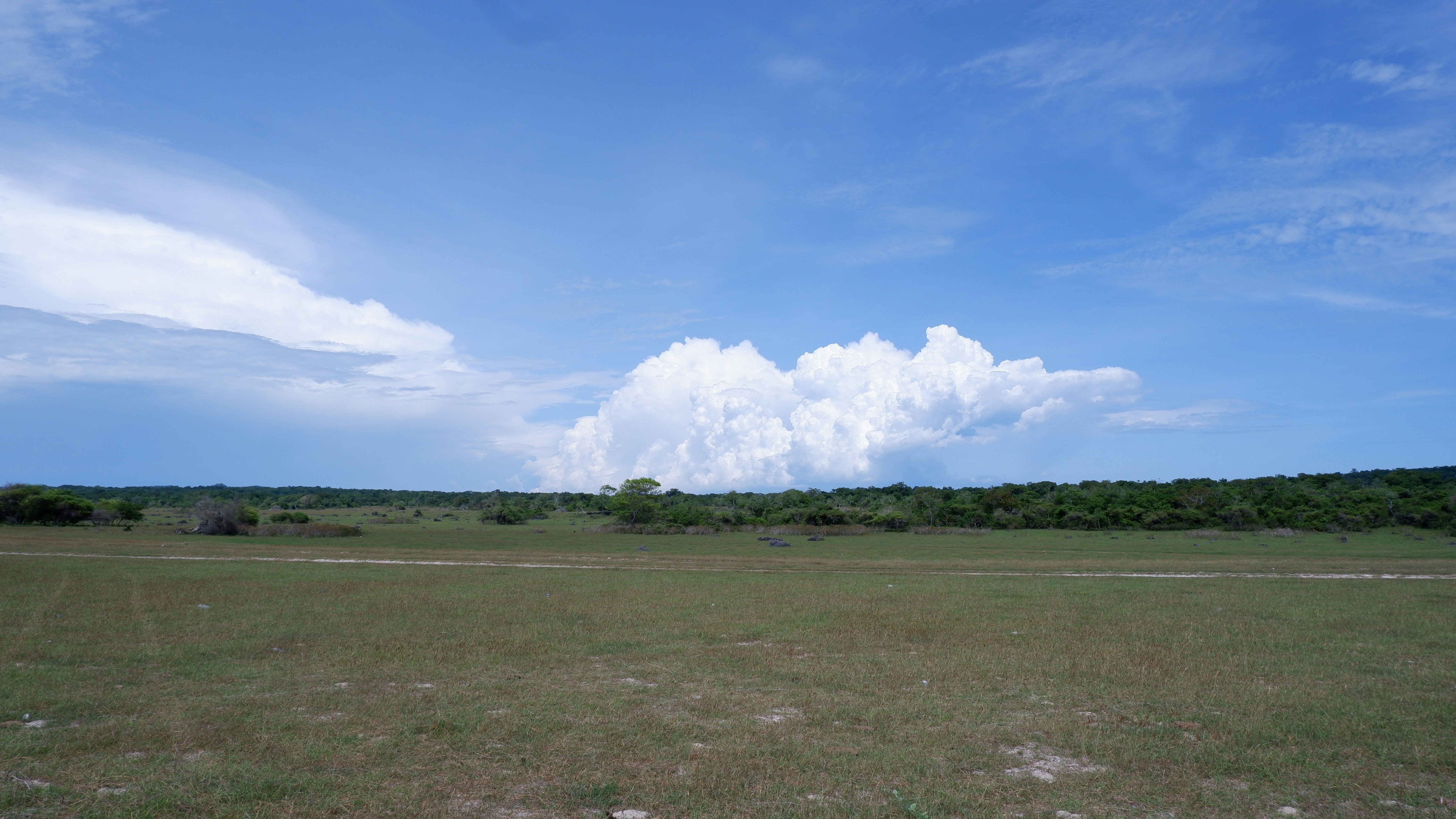 Photo by darkroomspace