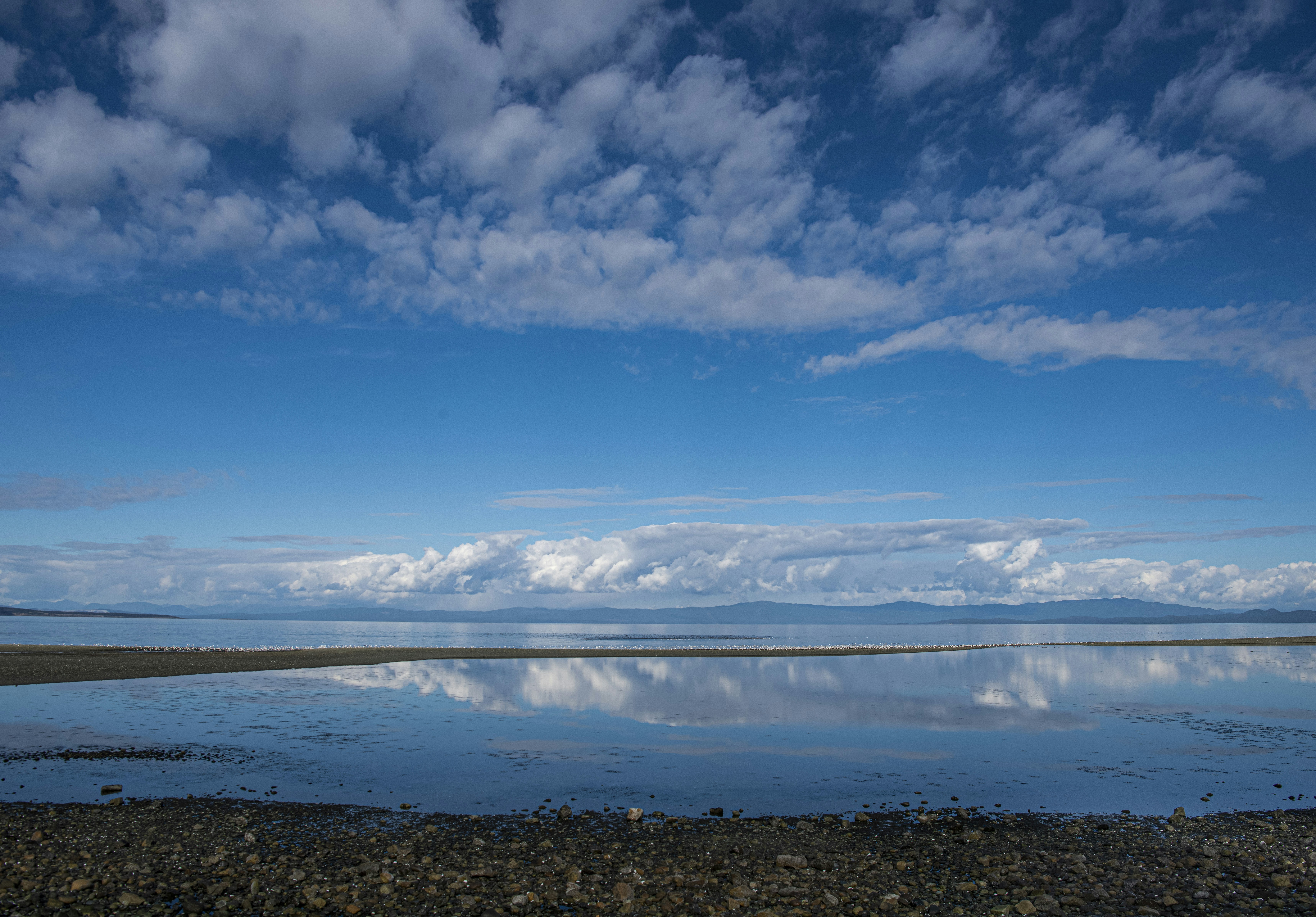 Vancouver Island looking east to the Coast Range Mountains. Recent herring spawning.