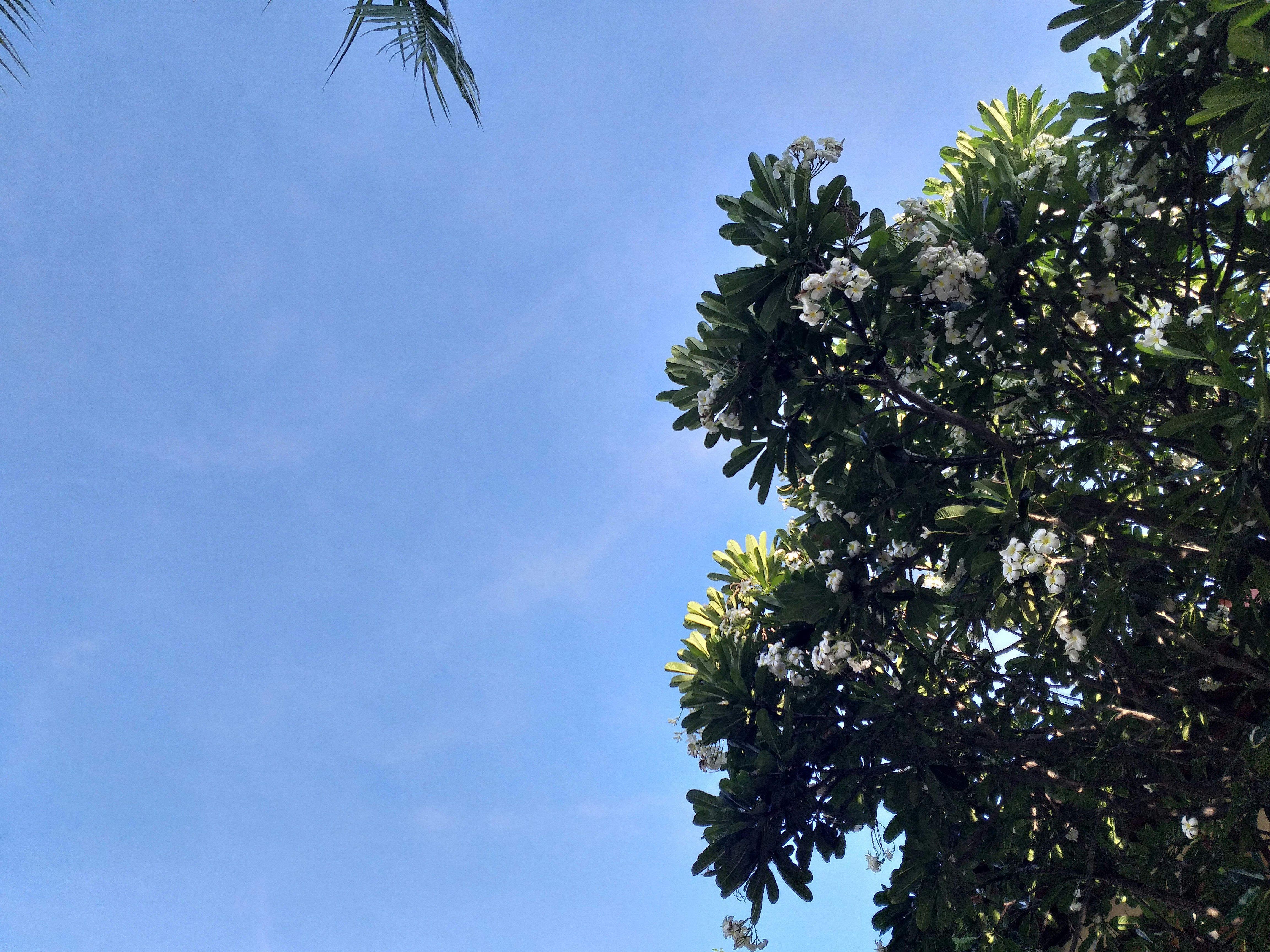 Photo by darkroomspace