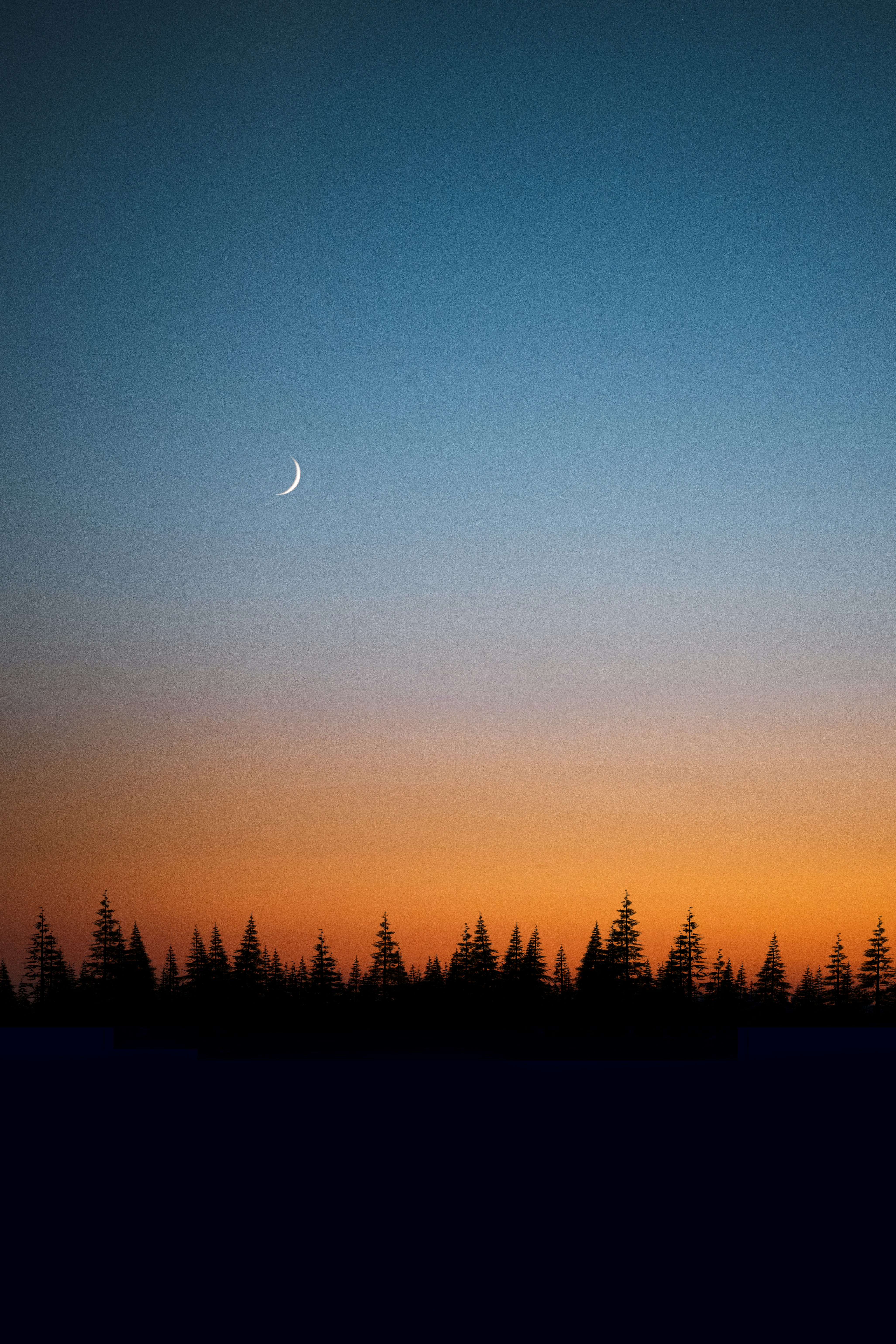 the moon is setting over the trees in the distance