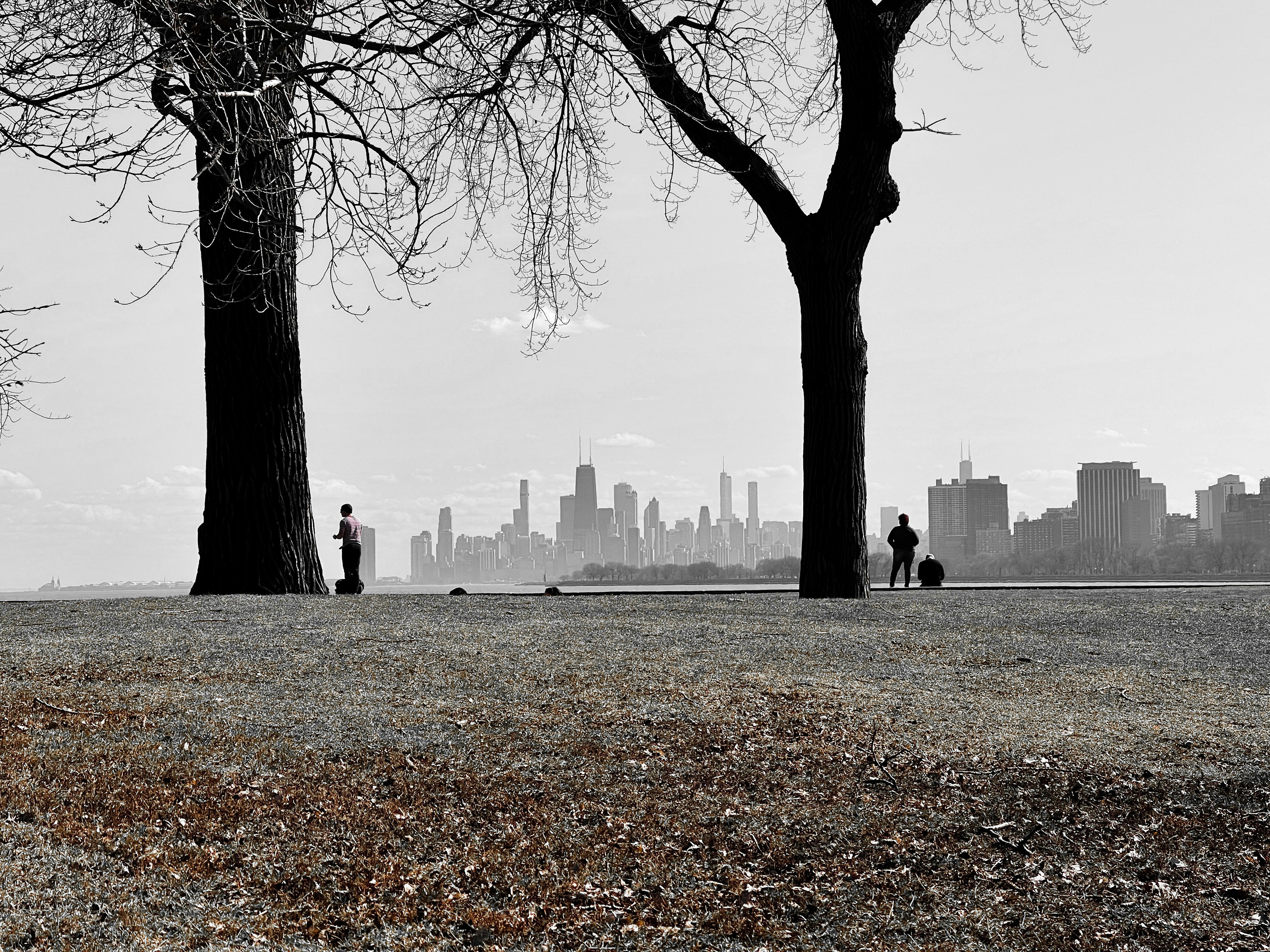 a couple of people standing next to a tree