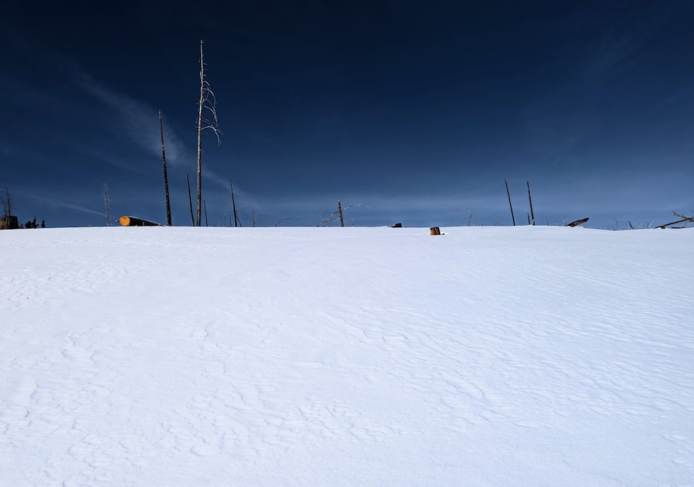 a person riding skis down a snow covered slope