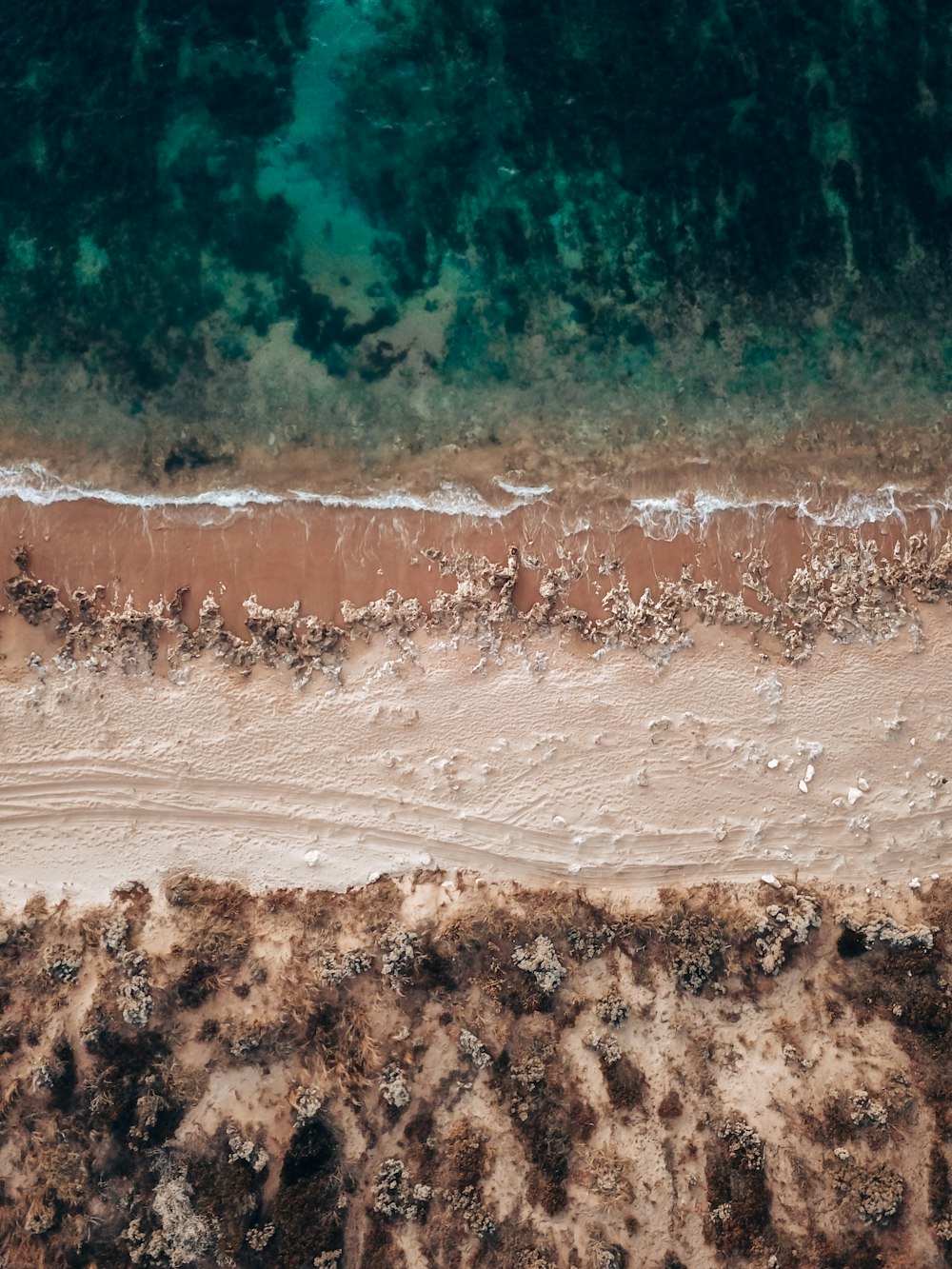 Una vista a volo d'uccello di una spiaggia sabbiosa