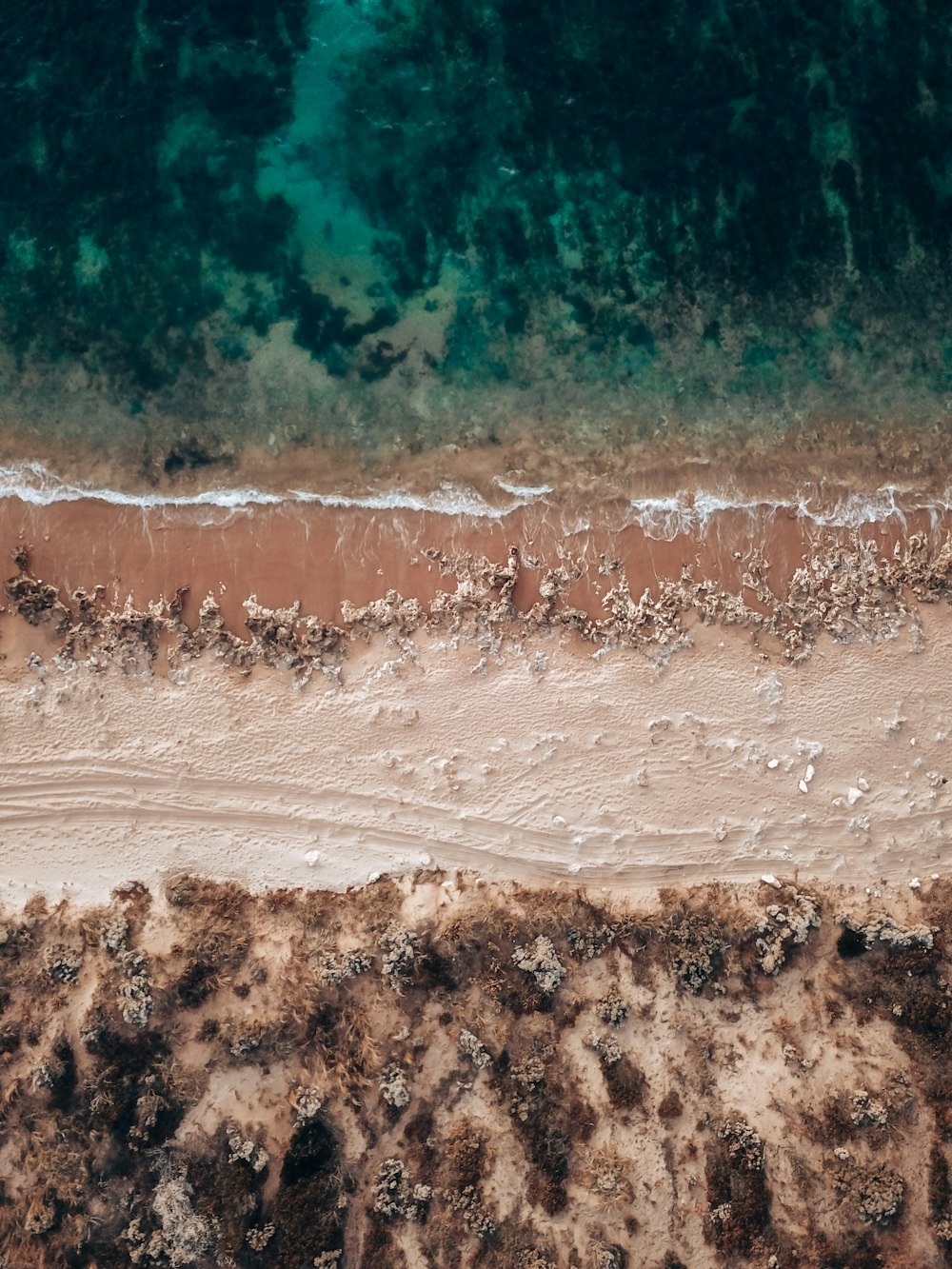 uma vista panorâmica de uma praia de areia