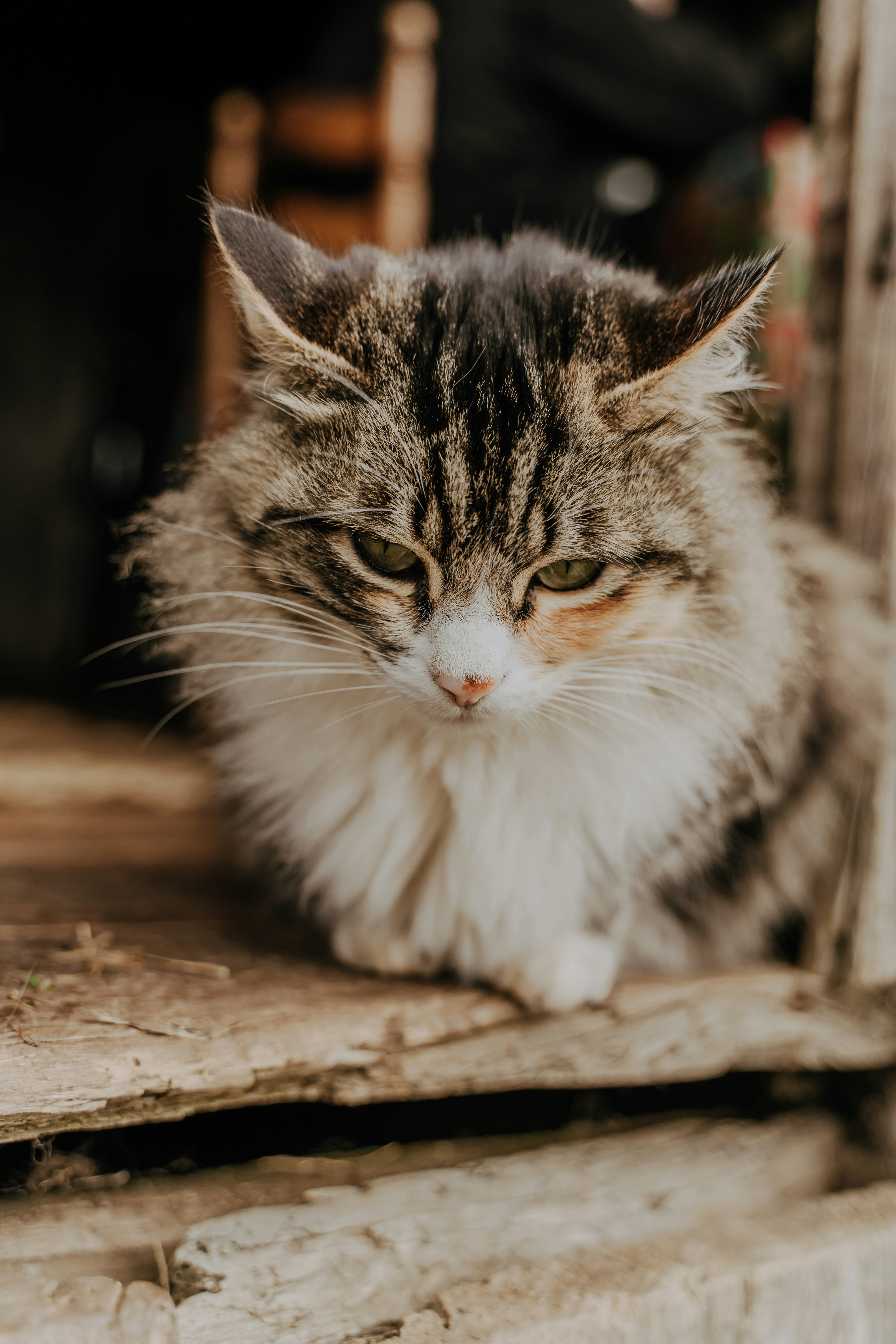 Photo by criandocomdione