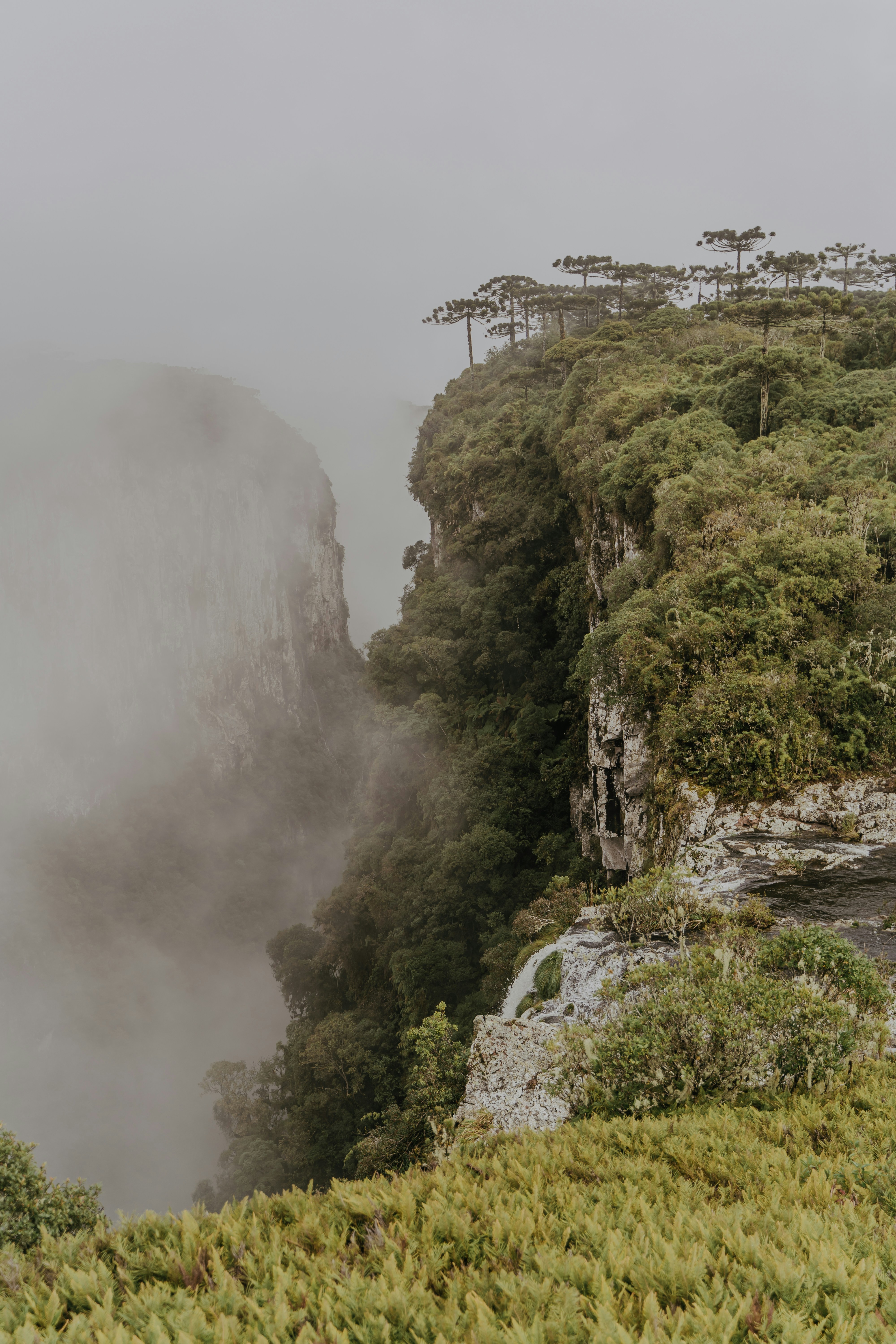 Photo by criandocomdione