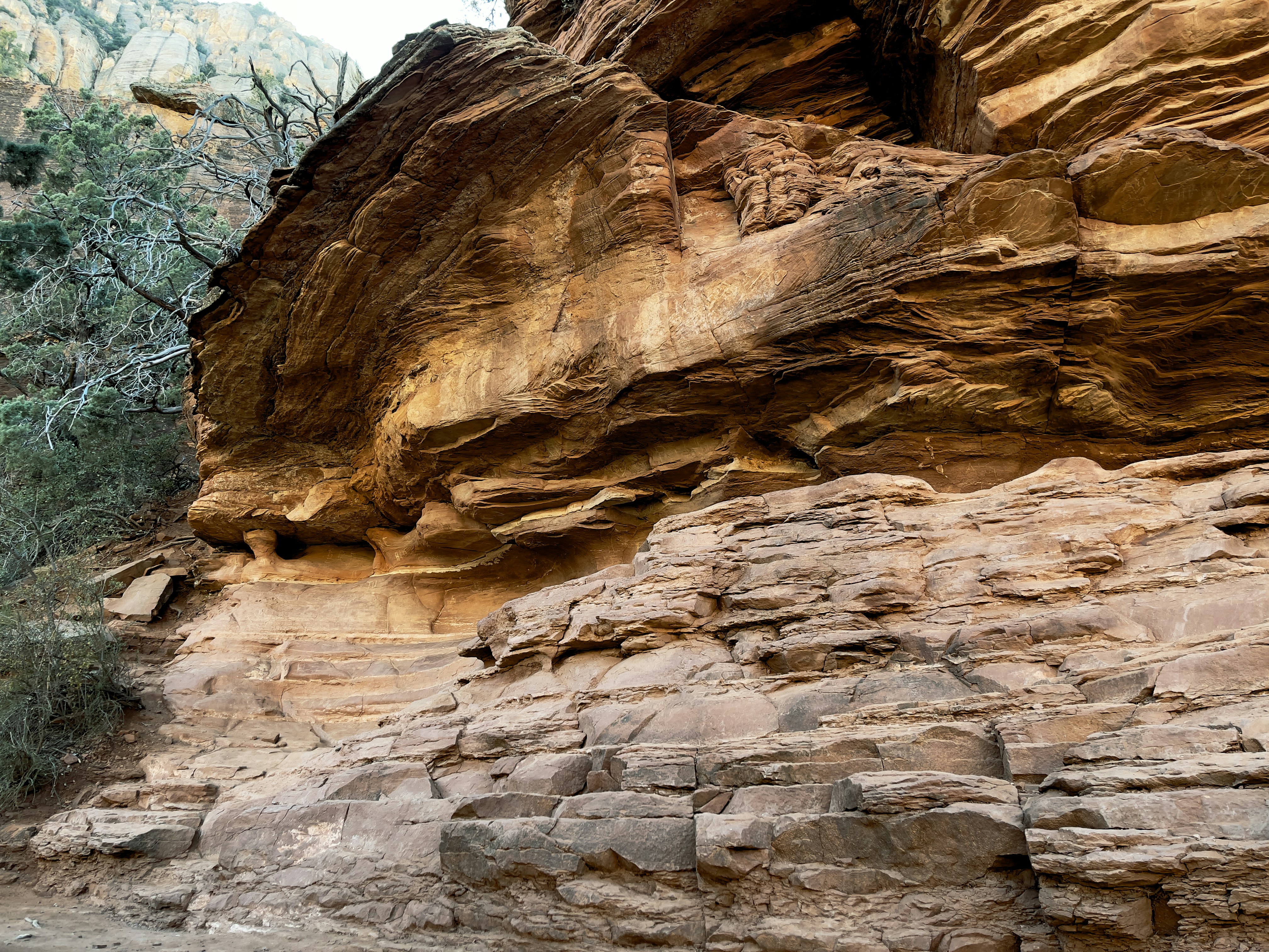 a man riding a bike down a dirt road, 