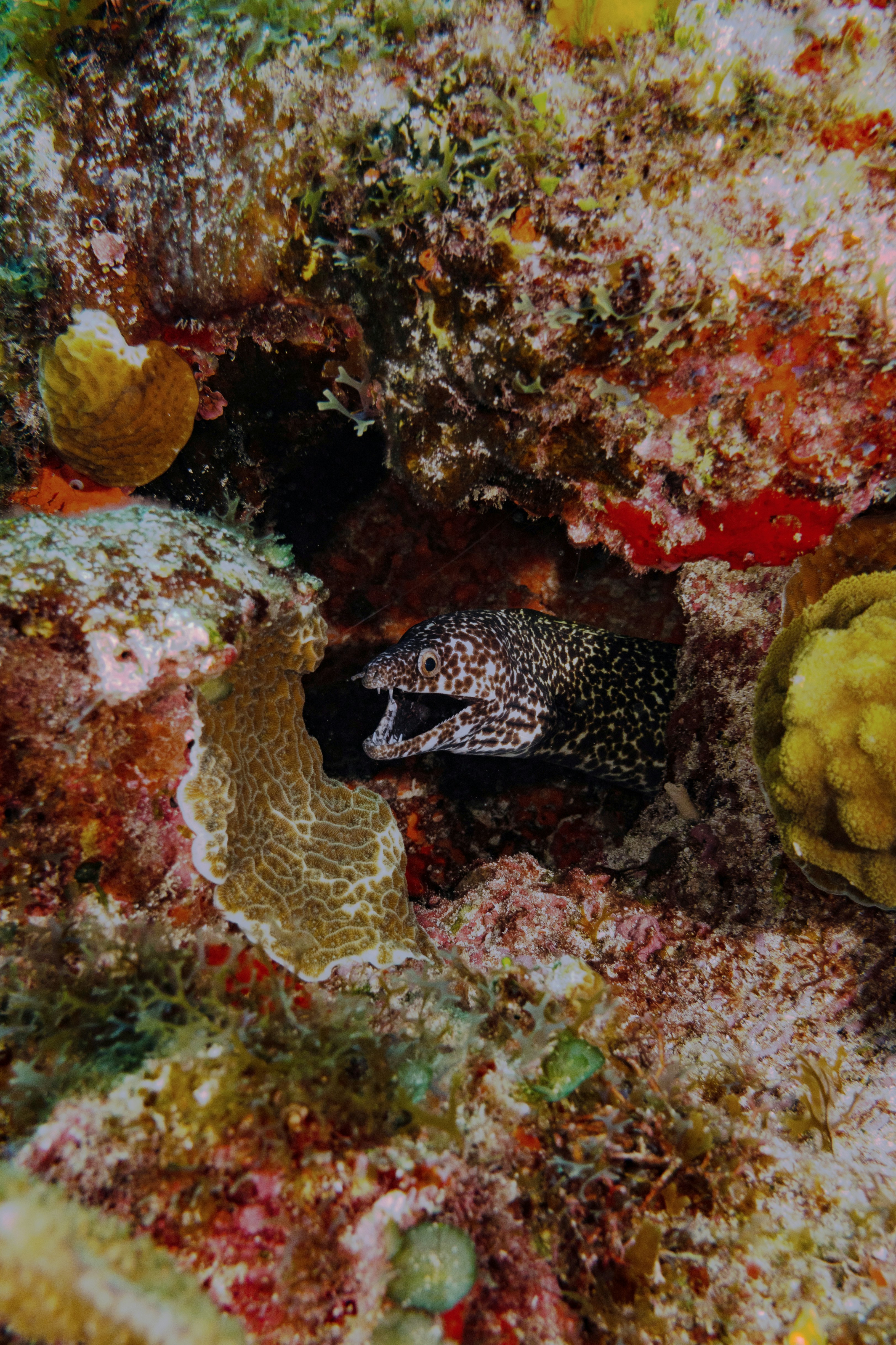 Photo by malekbeeprod