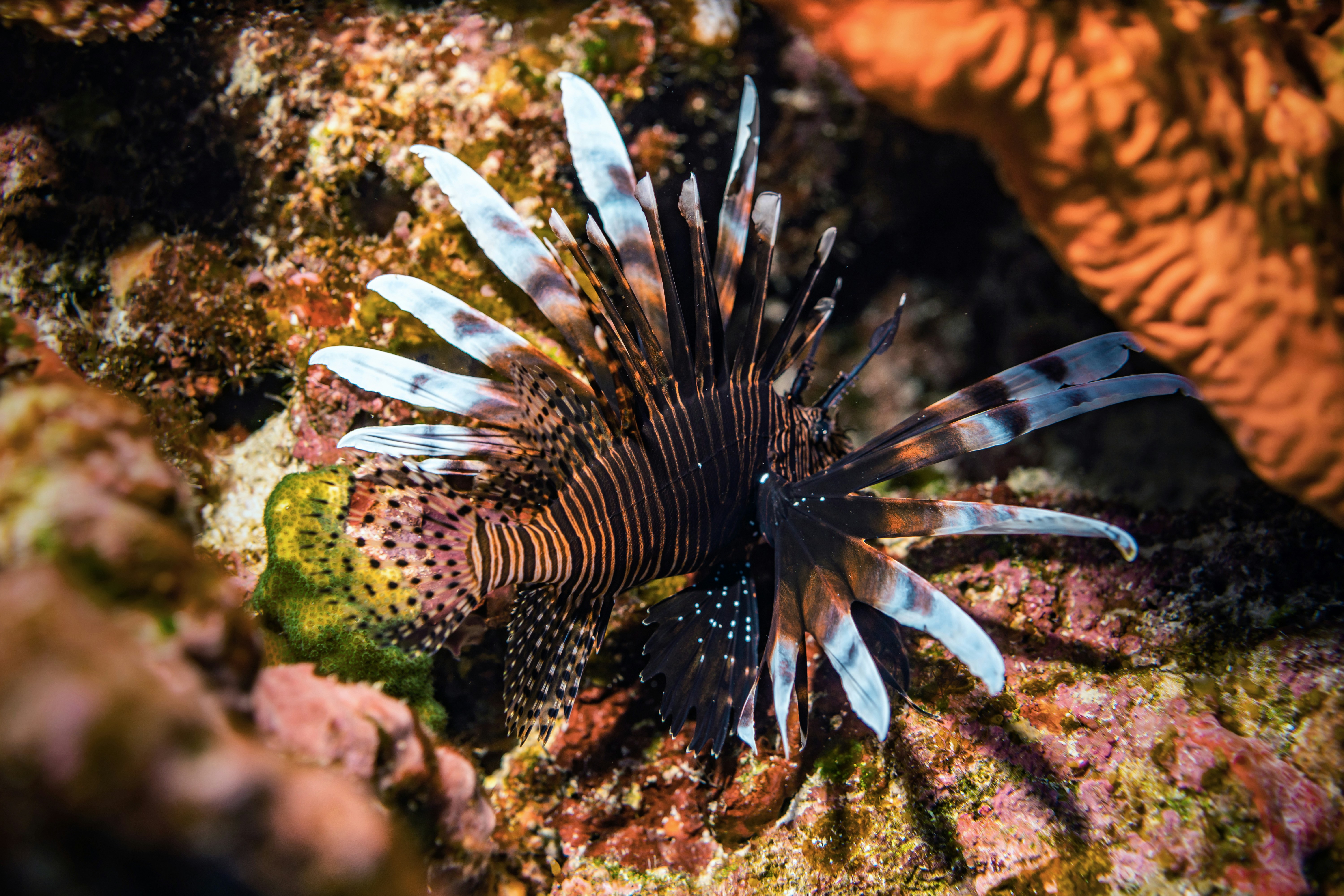 Photo by malekbeeprod