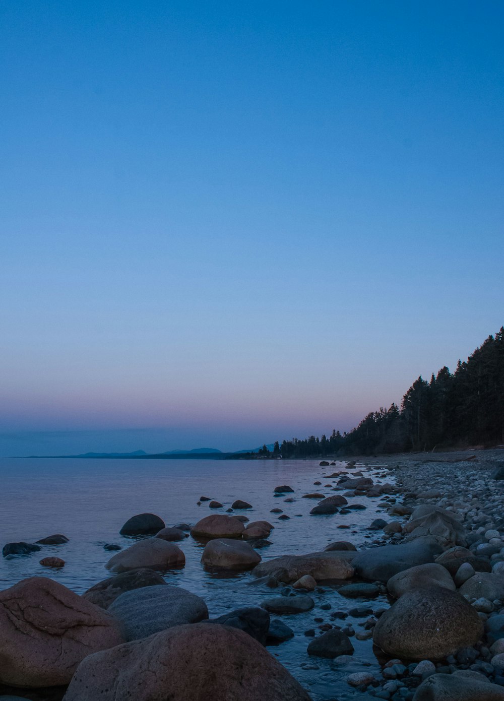 a beach with rocks and trees on the shore