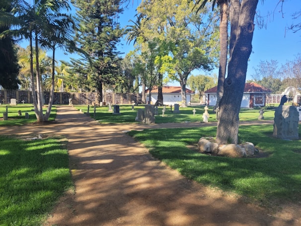 A serene cemetery with green lawns and scattered tombstones under a clear blue sky. Tall trees provide shade across the pathways, and a red-roofed building is visible in the background.