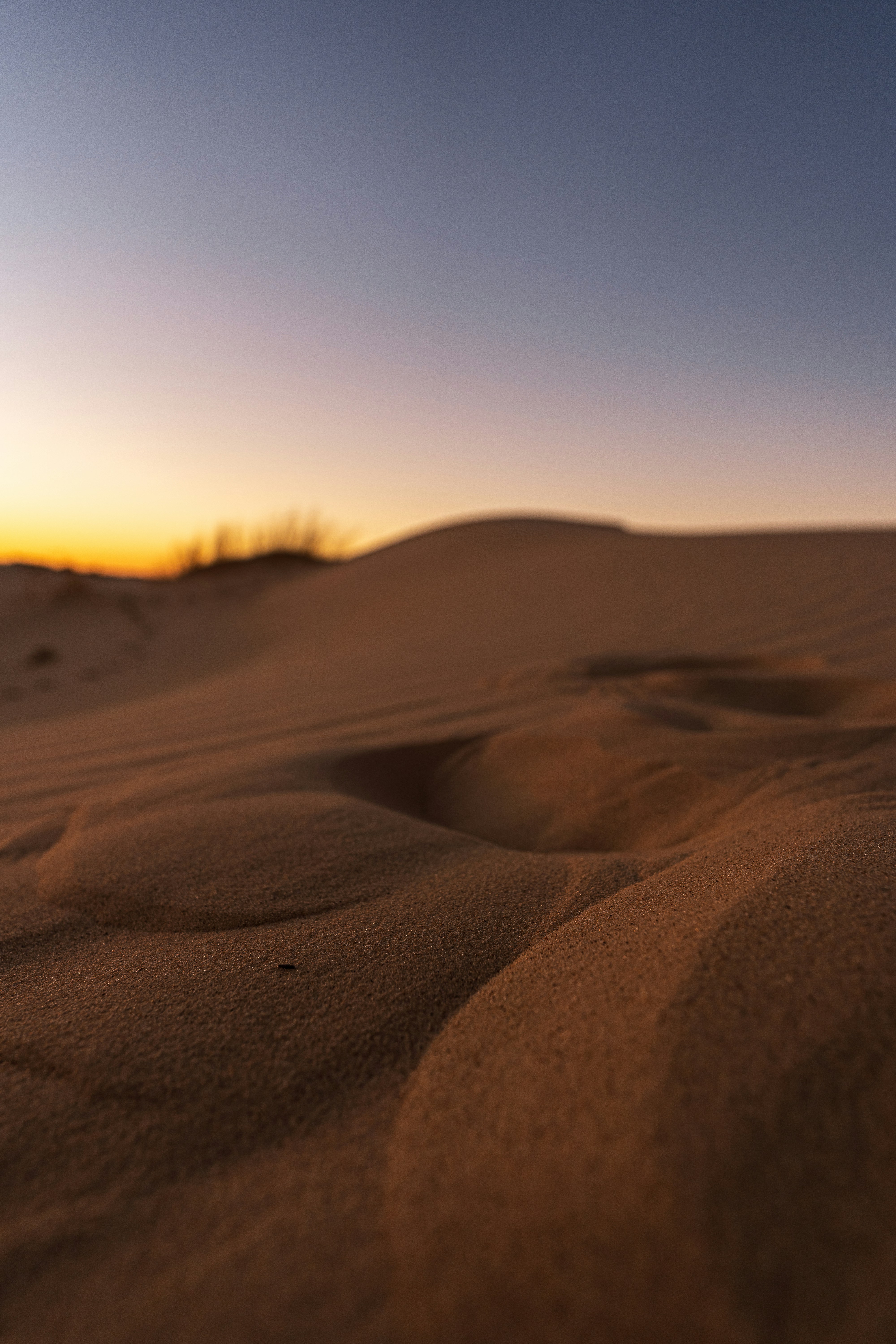 Photo by wayfaringwonderer