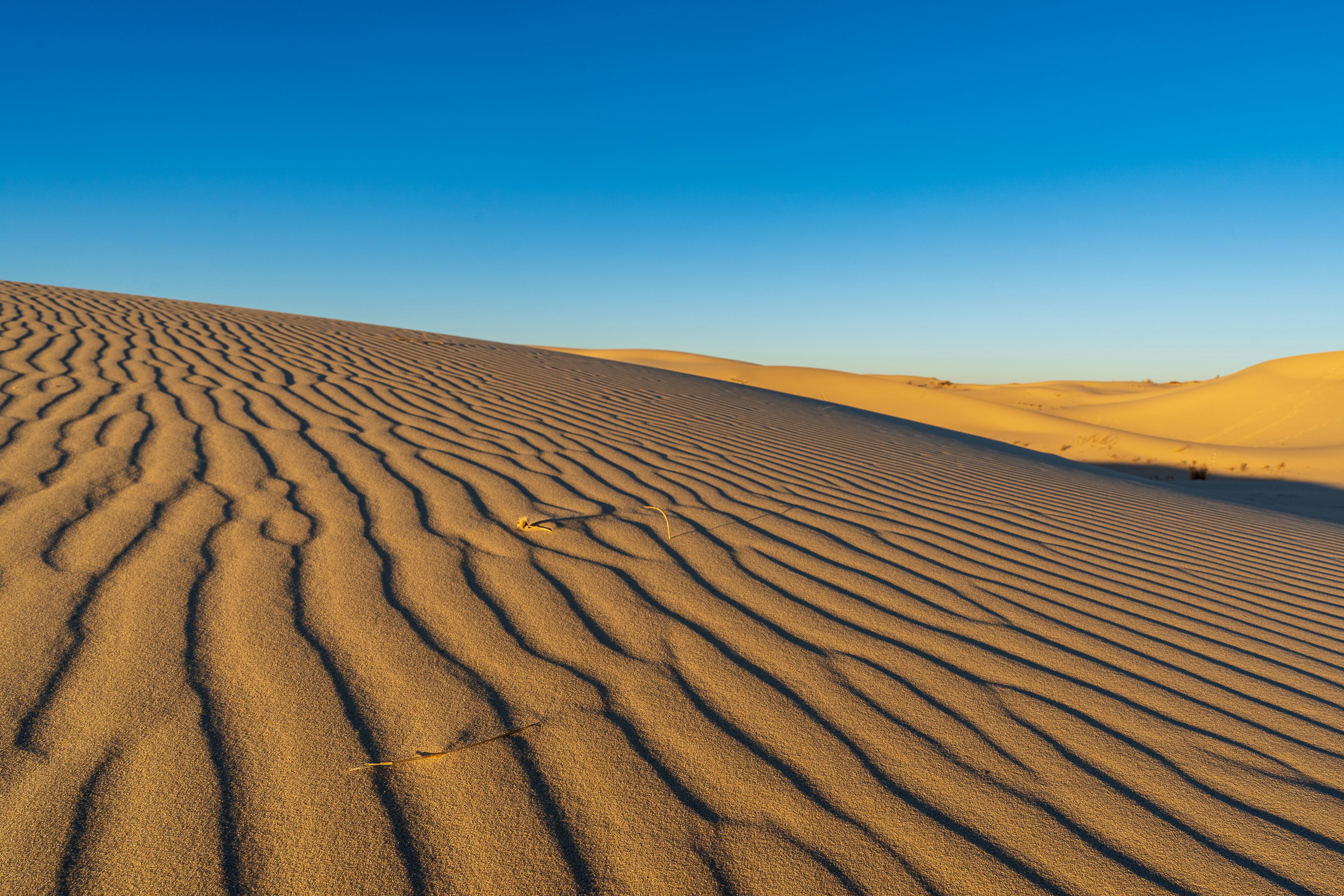 Photo by wayfaringwonderer