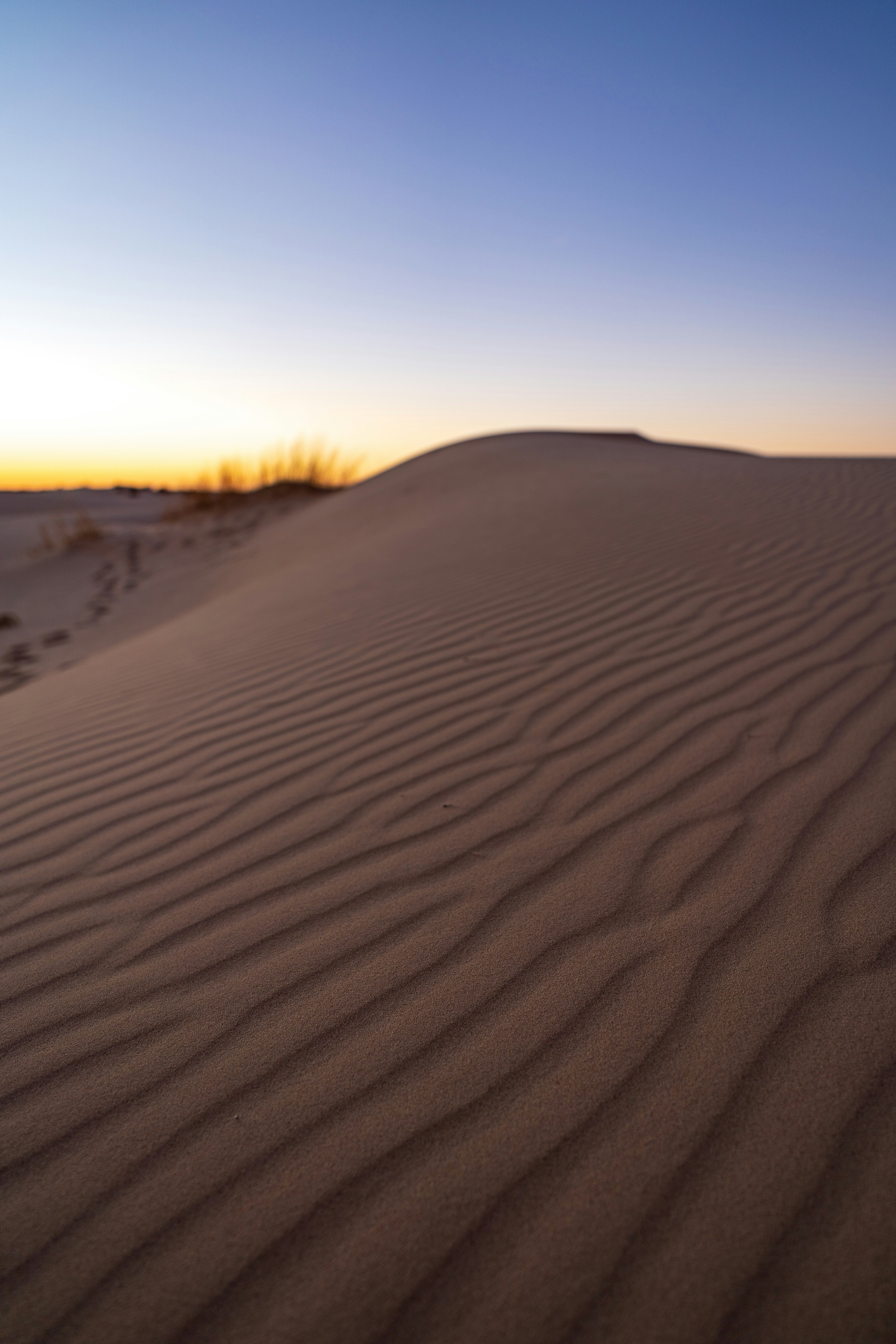 Photo by wayfaringwonderer