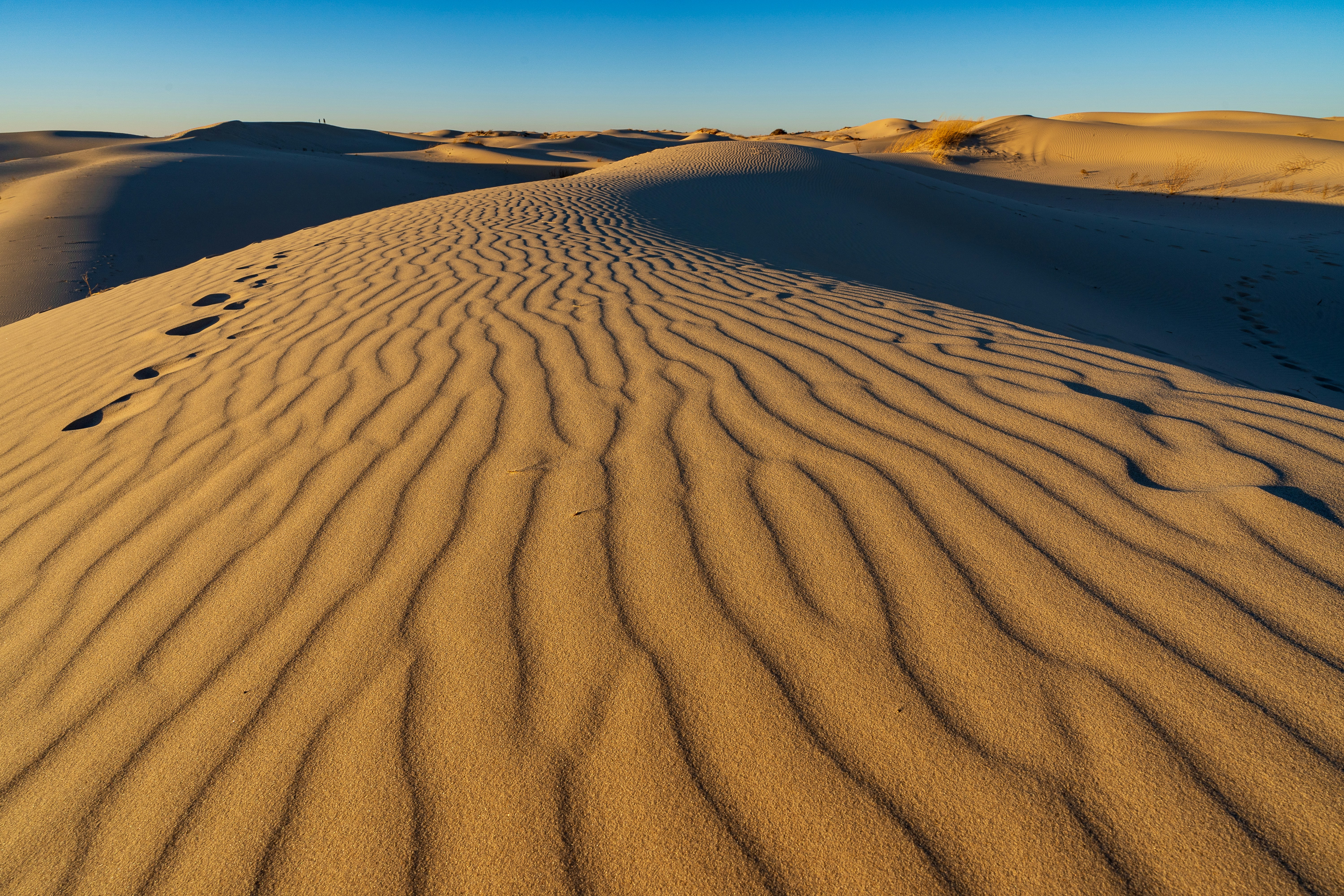 Photo by wayfaringwonderer