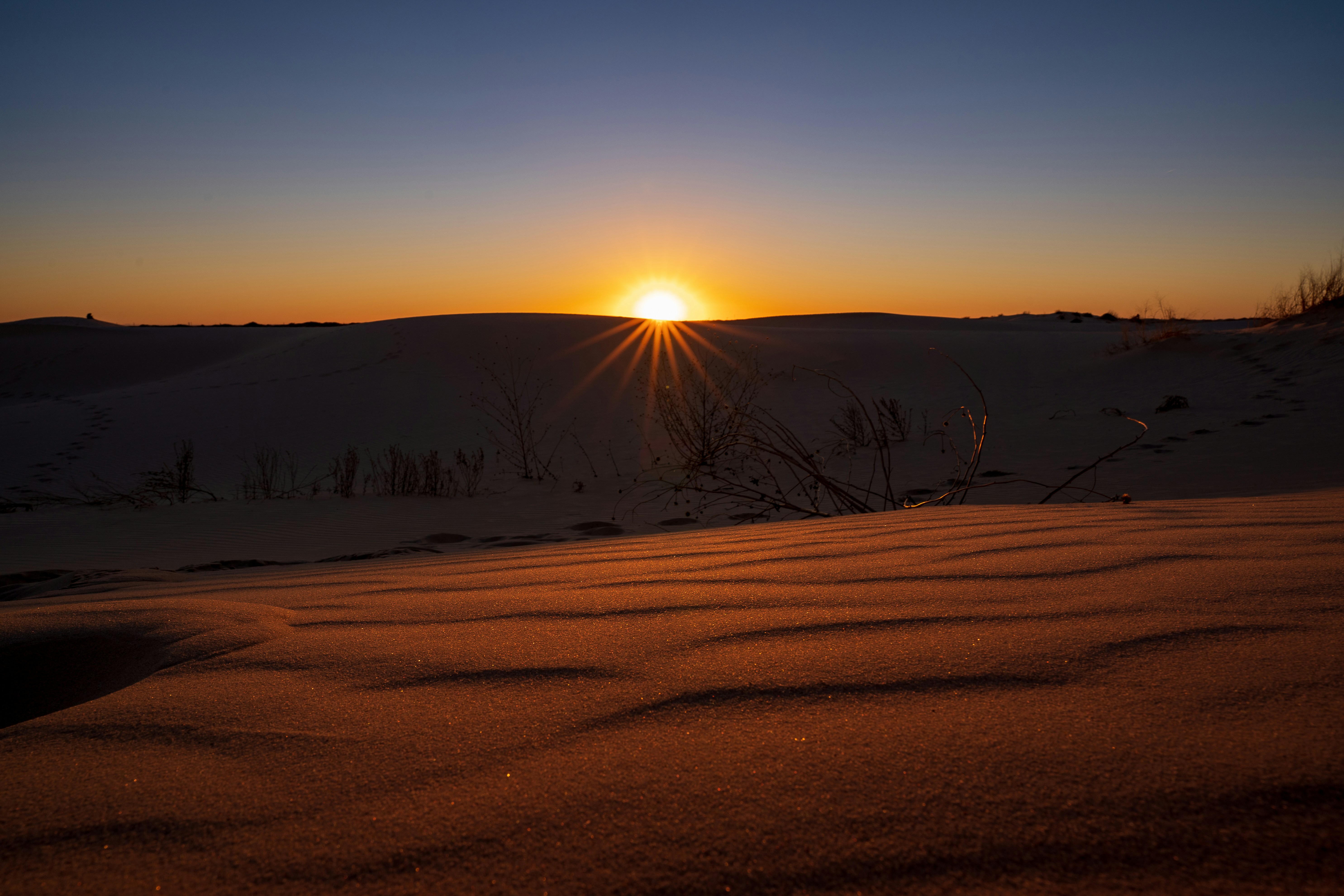 Photo by wayfaringwonderer