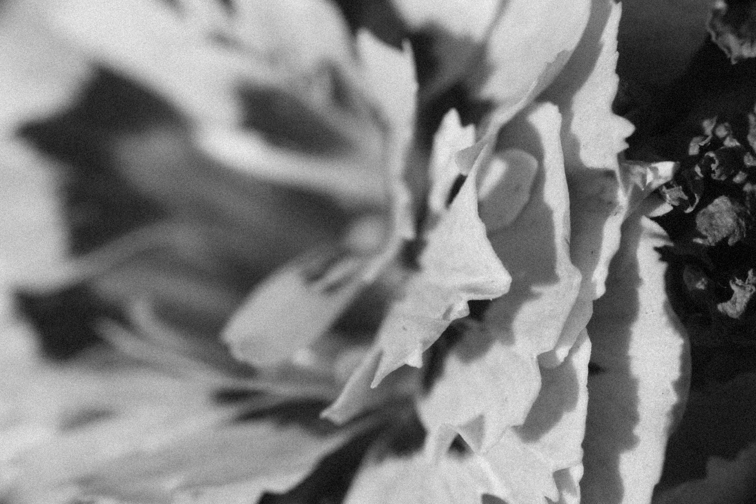 Photo by alexeydemidov