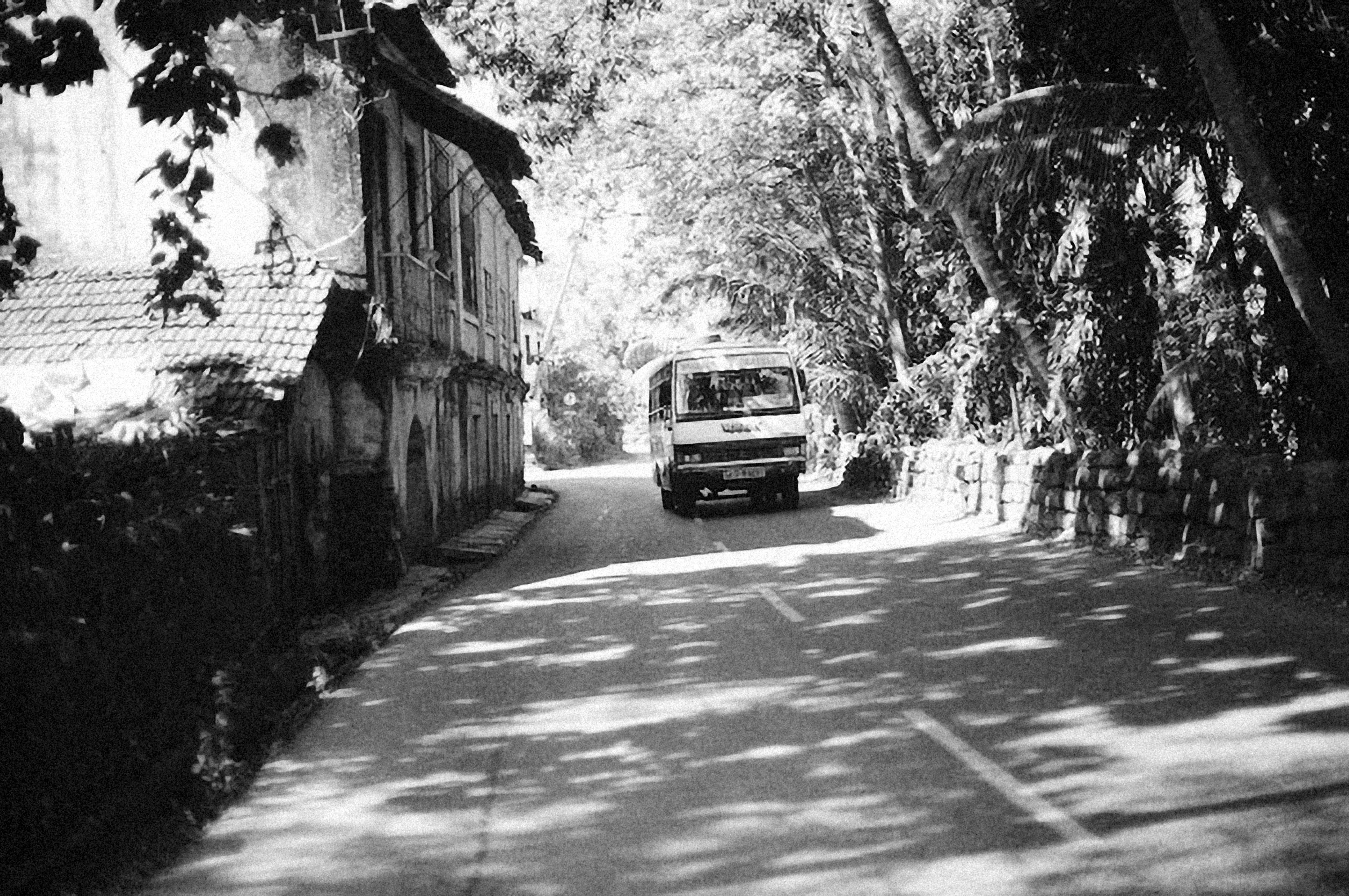 Photo by alexeydemidov