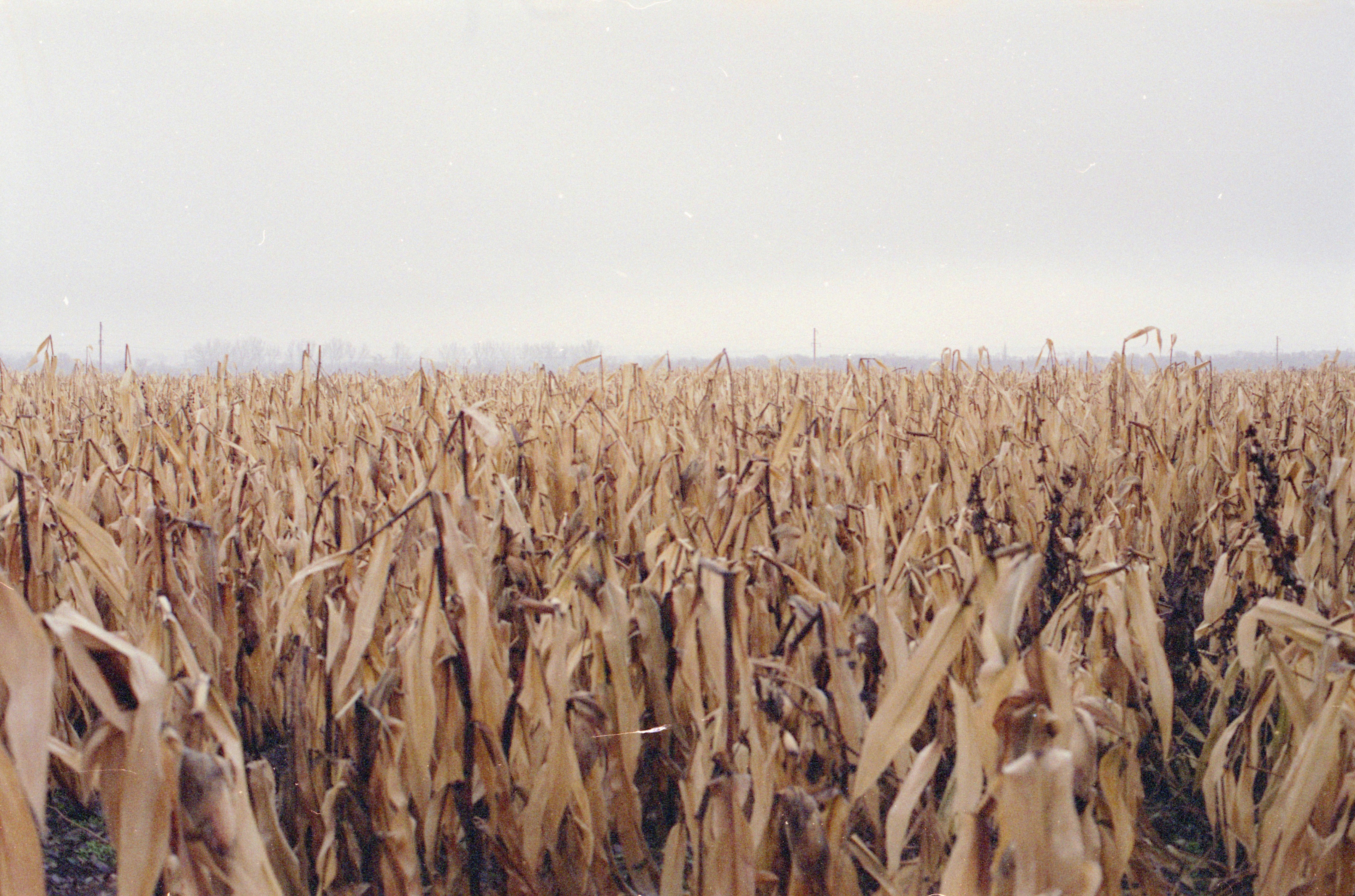 Photo by alexeydemidov