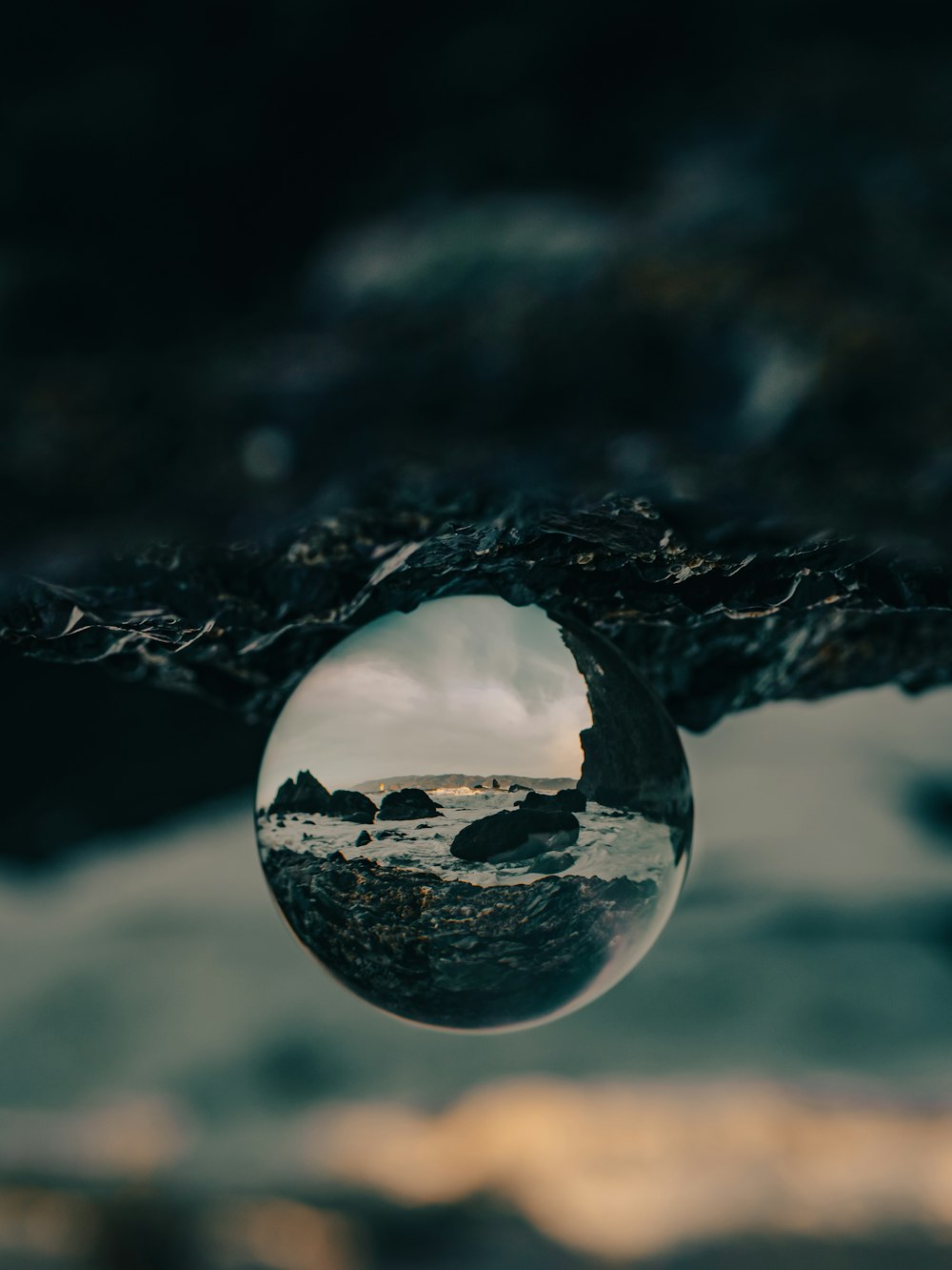 a drop of water hanging from a tree branch