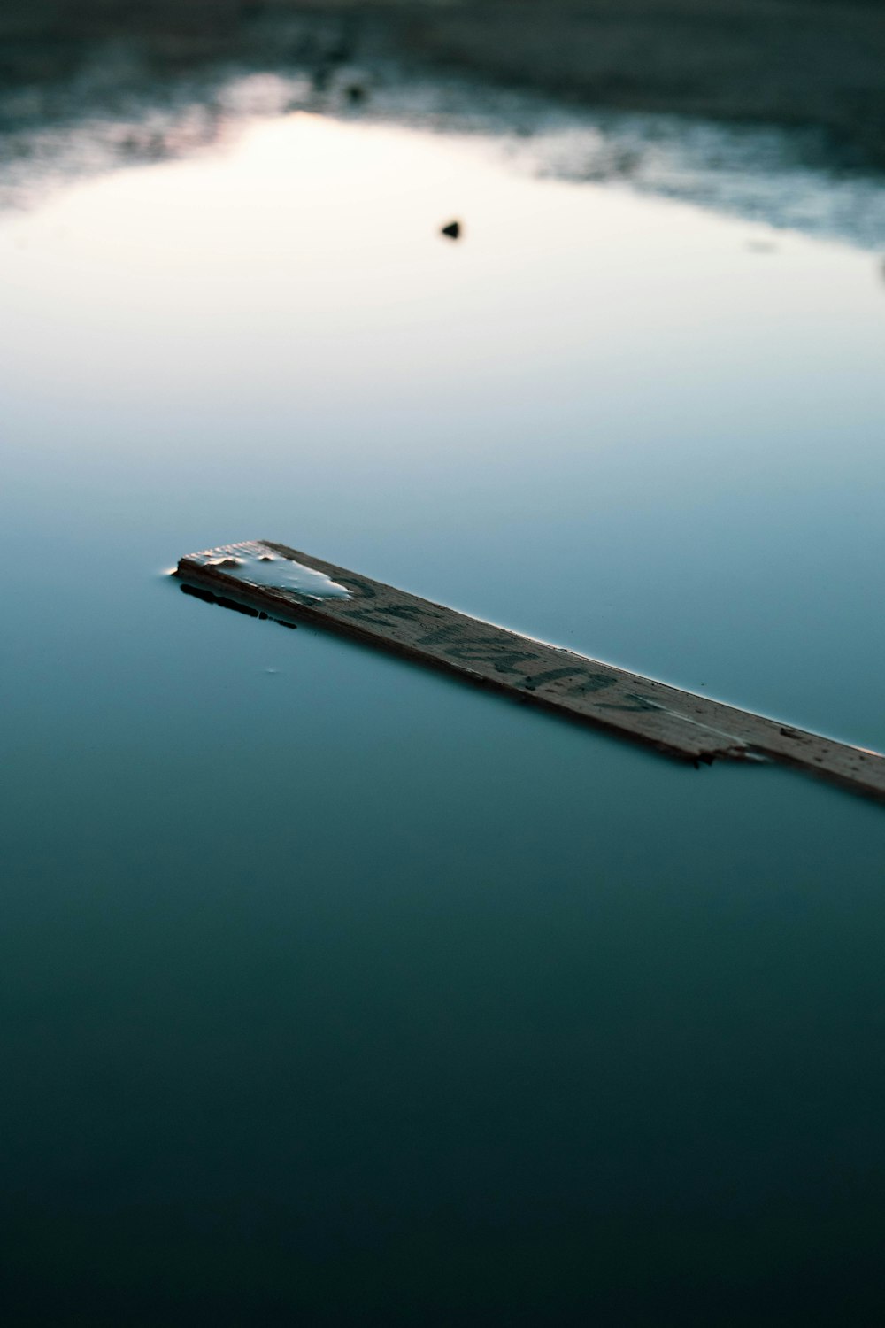 a long piece of wood floating on top of a body of water