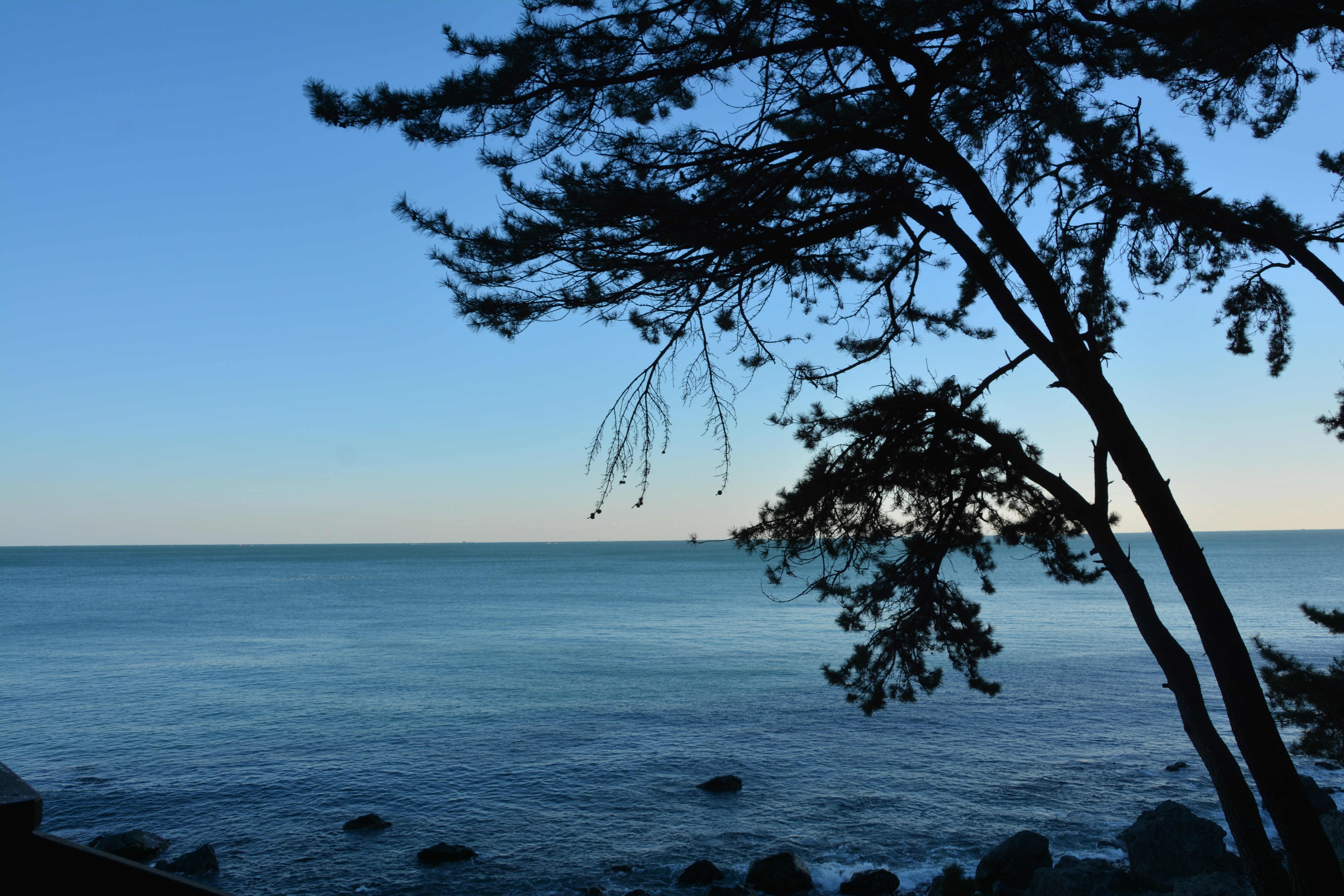 Photo by artististanbul