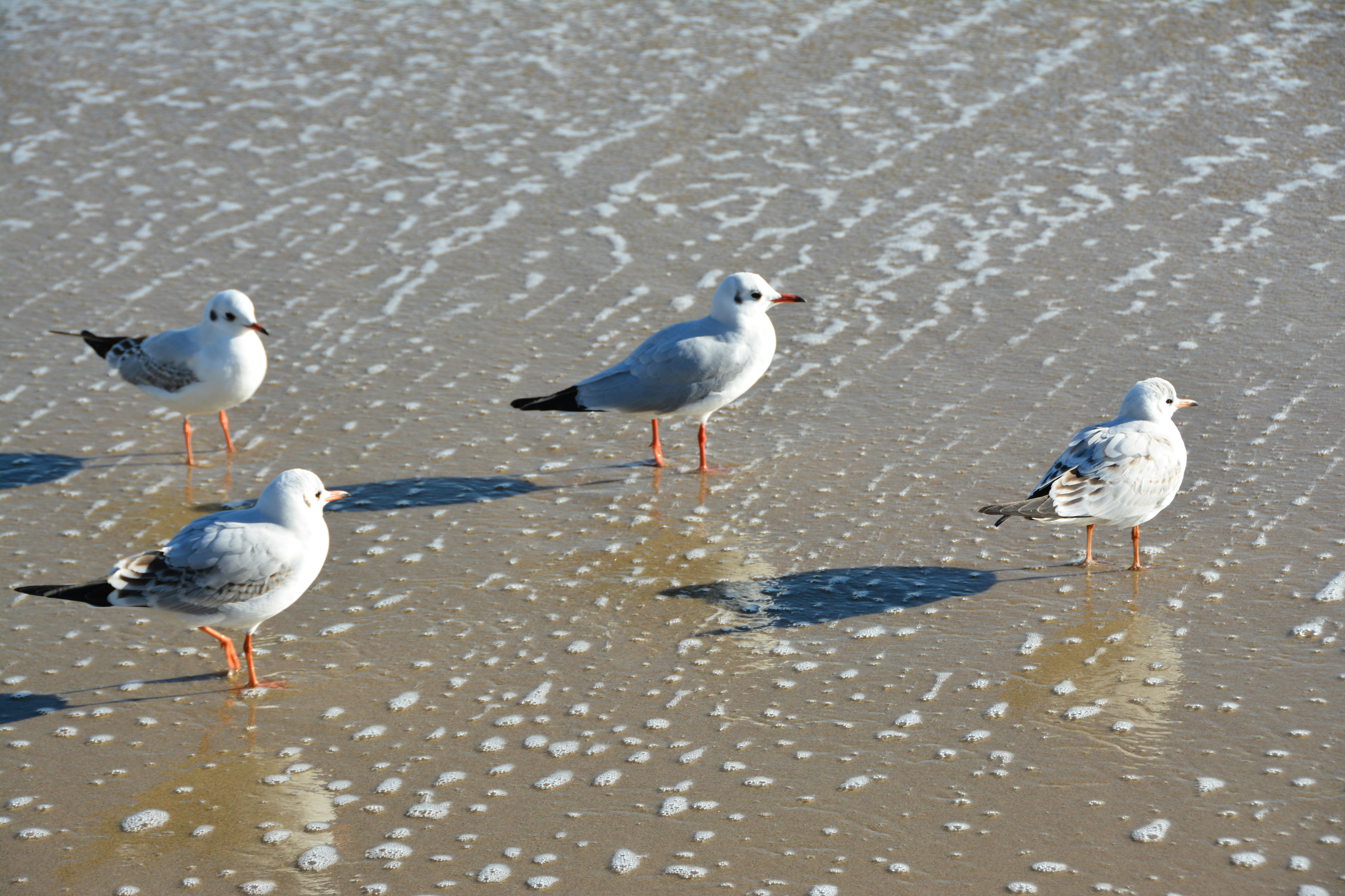 Photo by artististanbul