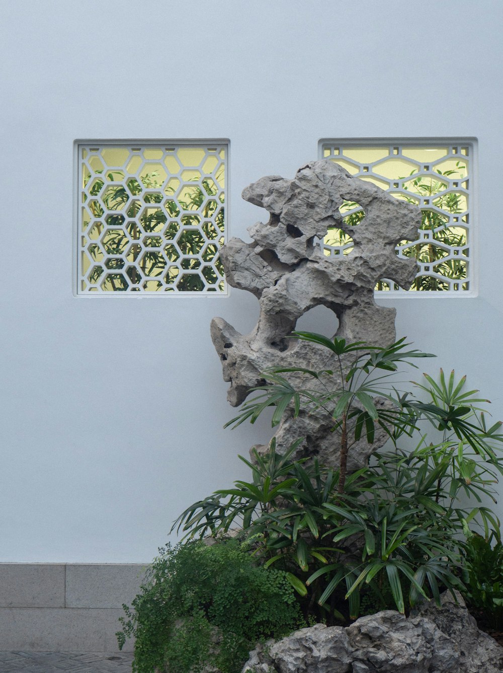 a white wall with two windows and a plant