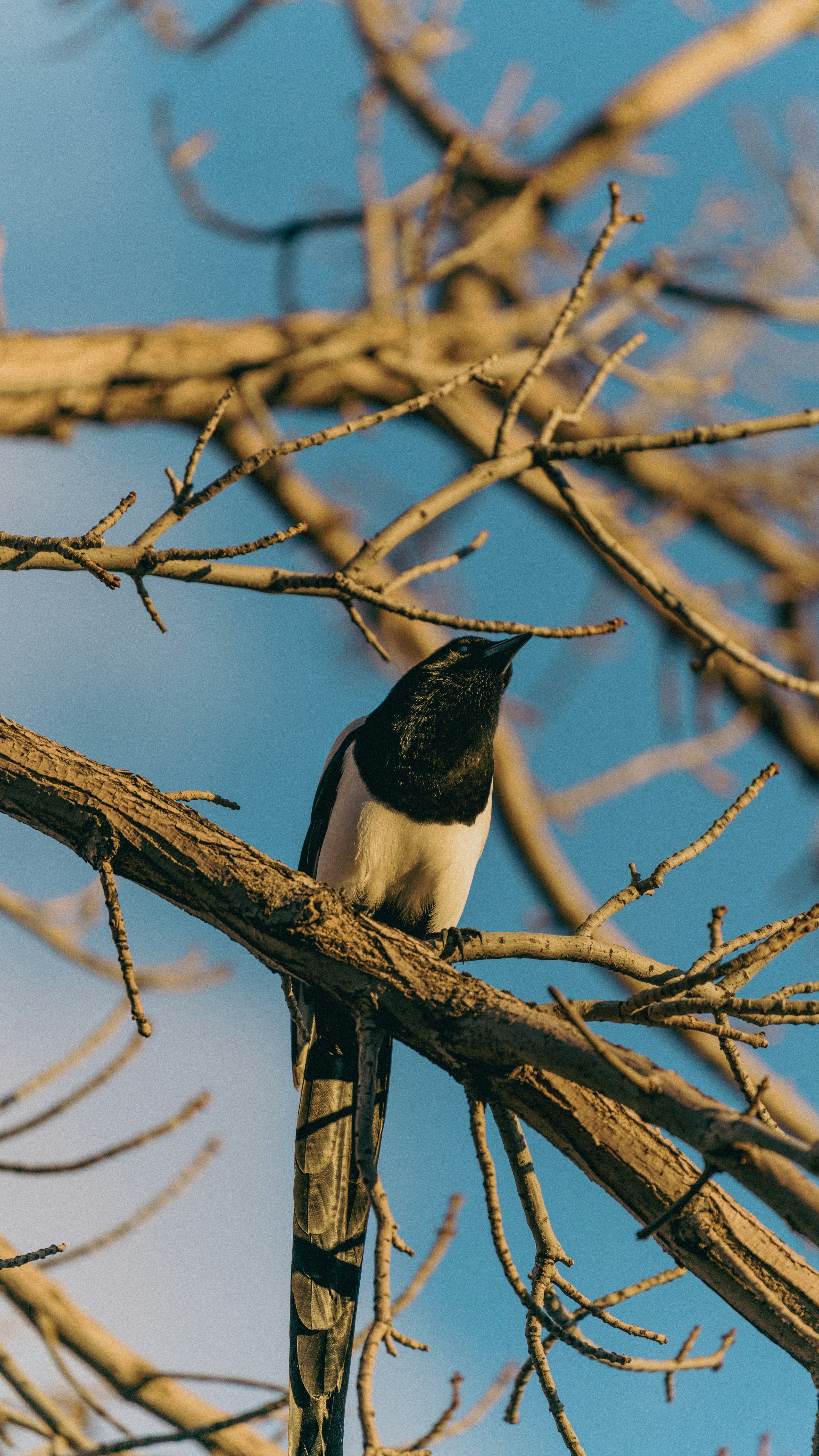 Photo by chasingphotography