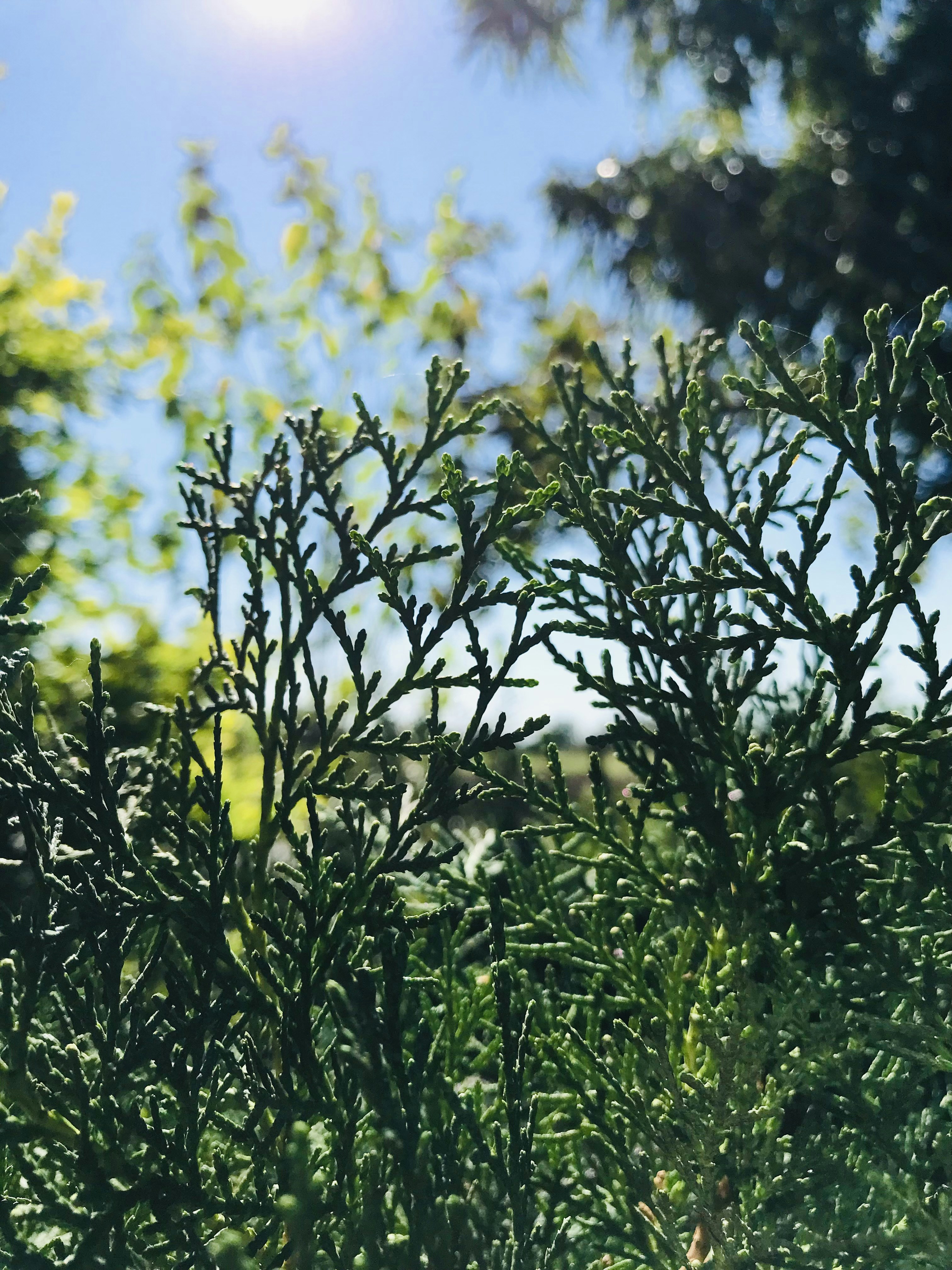 Photo by swapnil_vasave