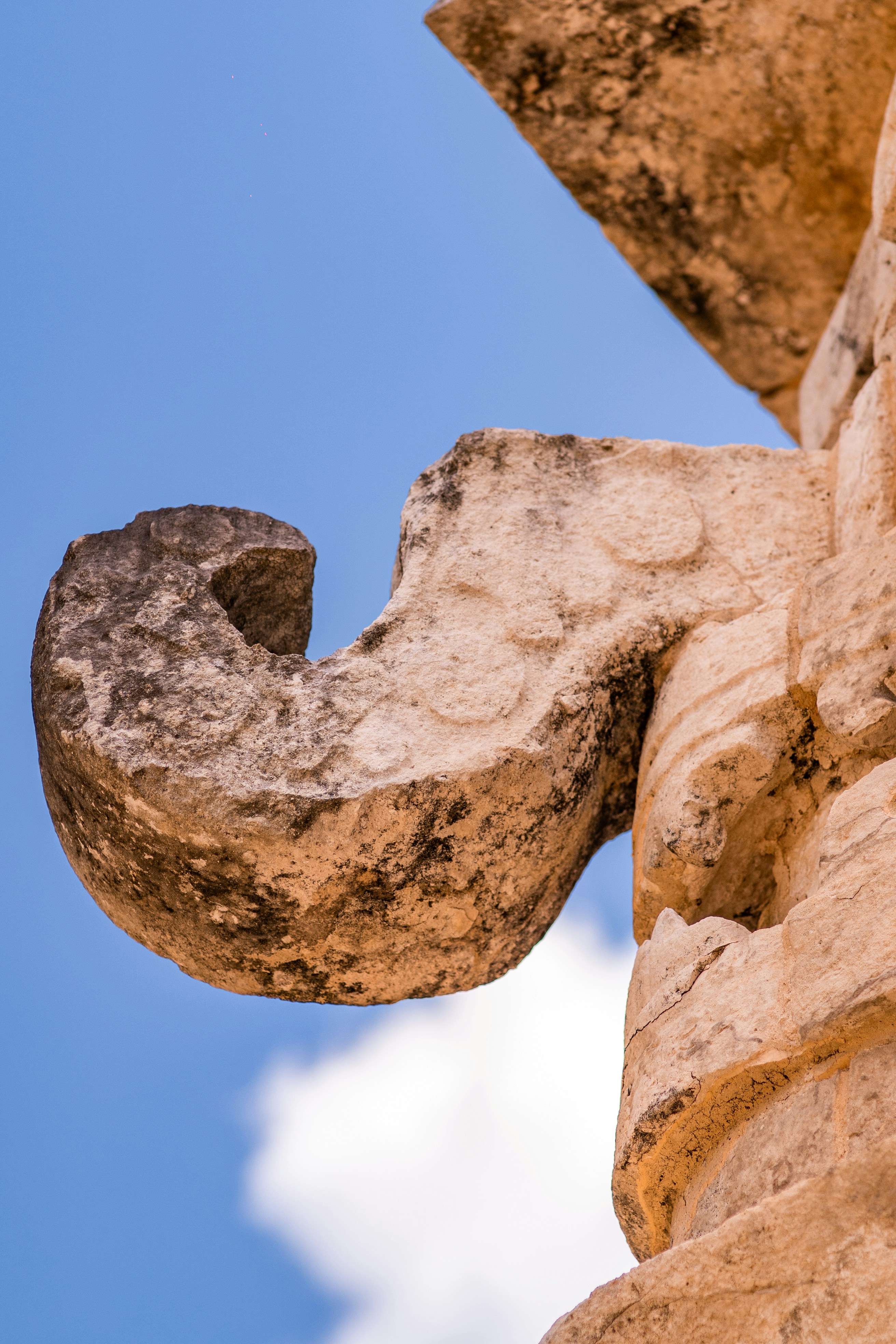 Photo by malekbeeprod