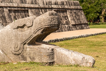 a stone statue of a frog in a park