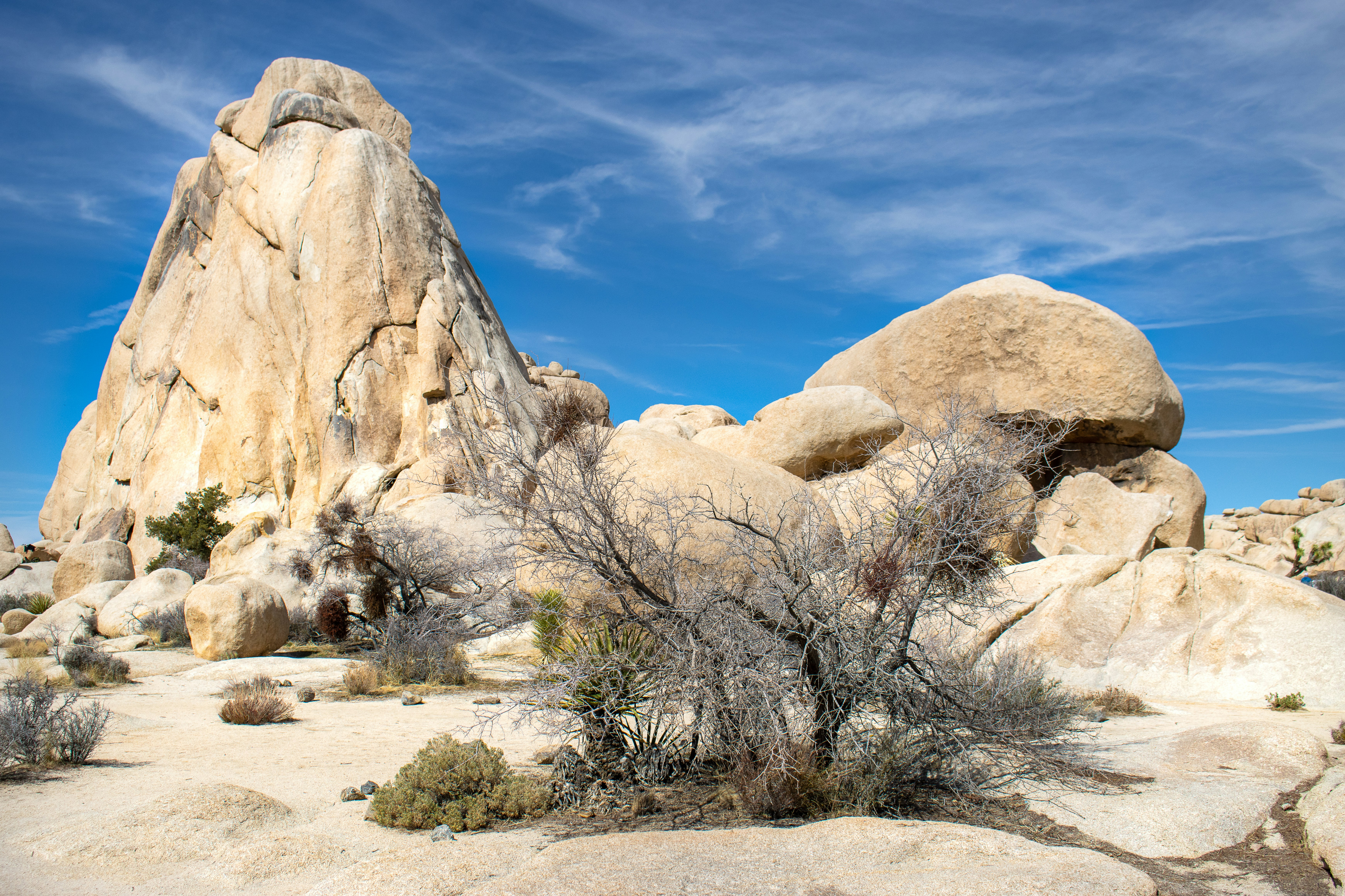 Photo by jeremiahjrross