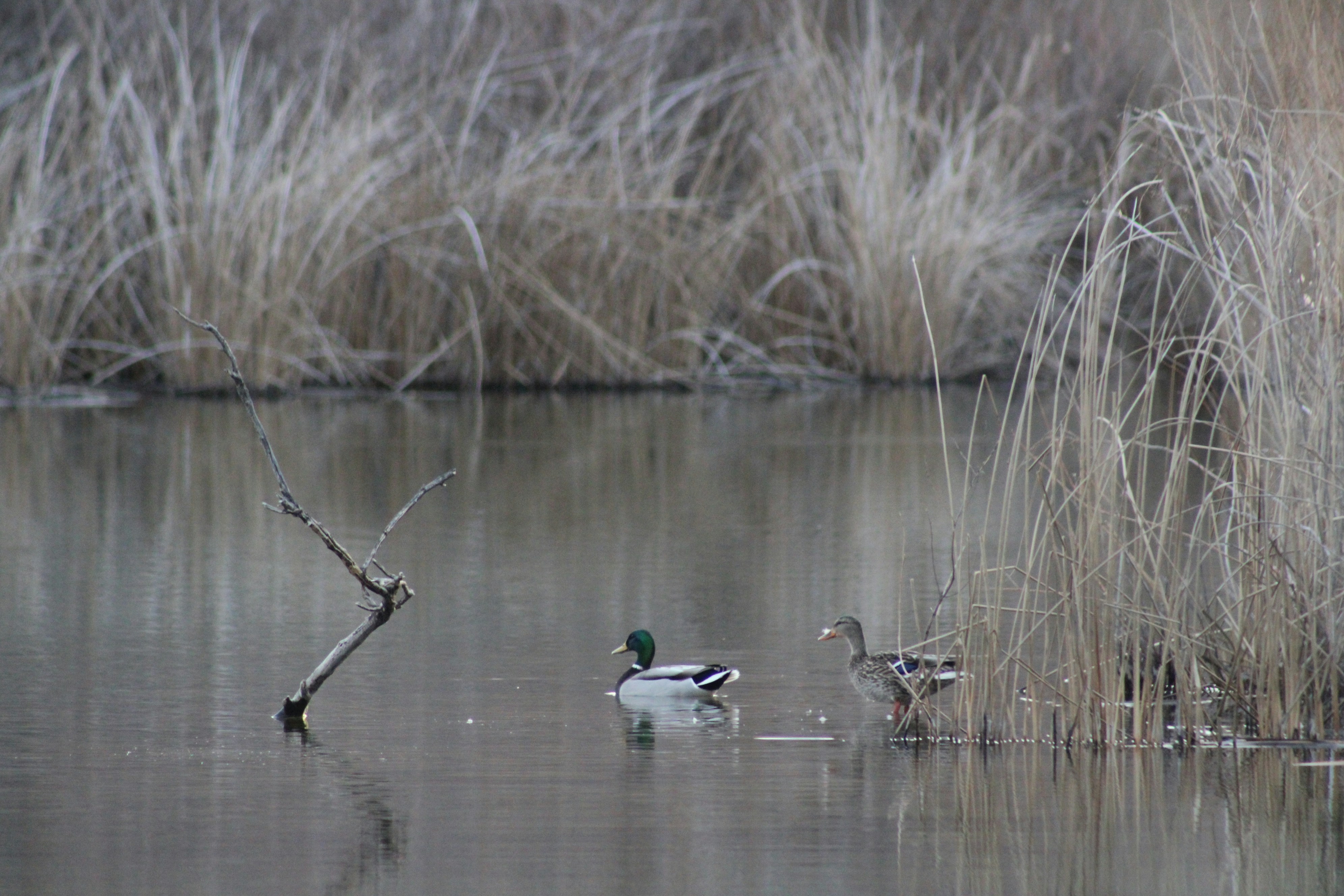 Photo by fmiller96