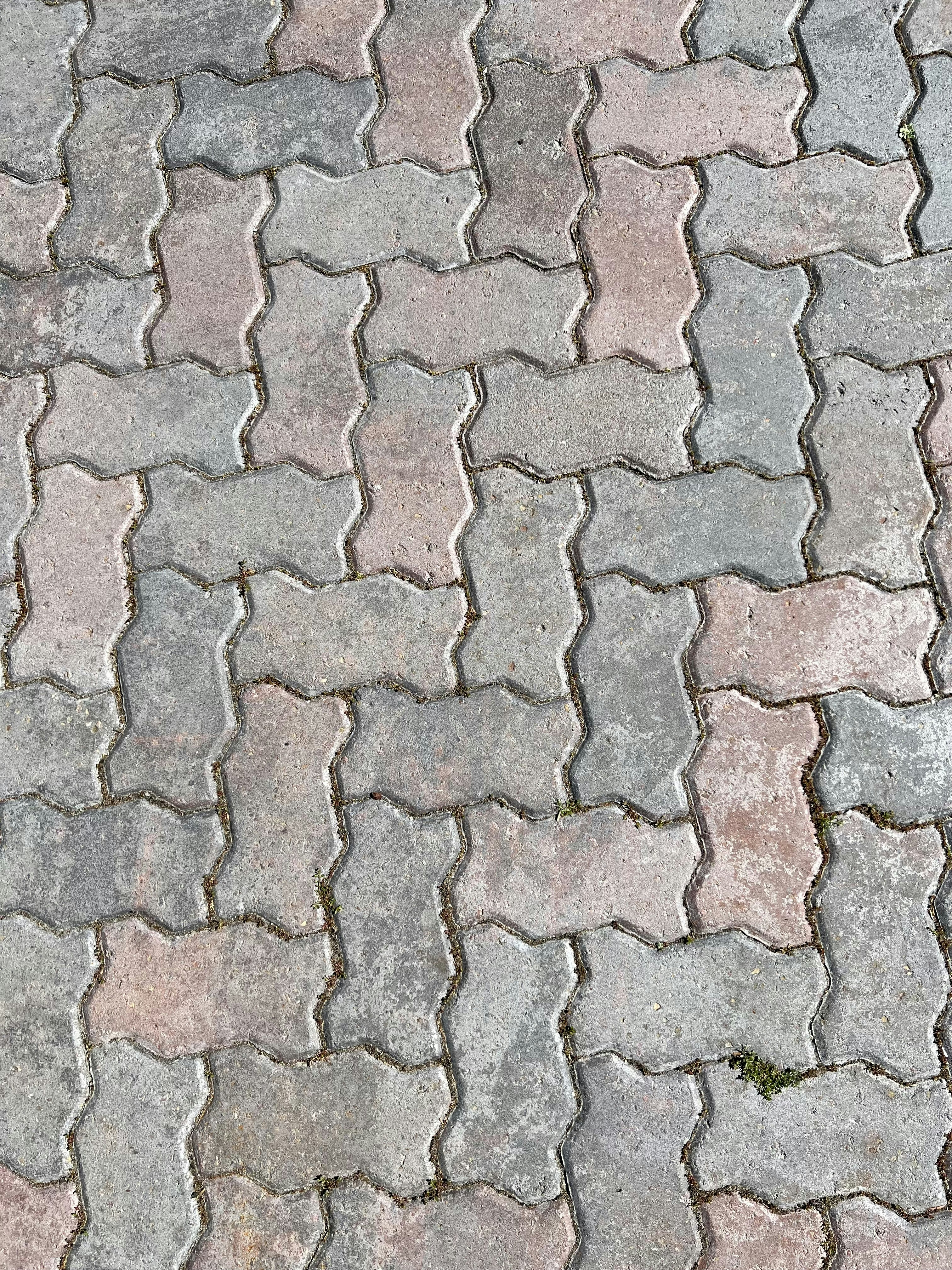 Comparing Driveway Options: Concrete, Asphalt, and Pavers