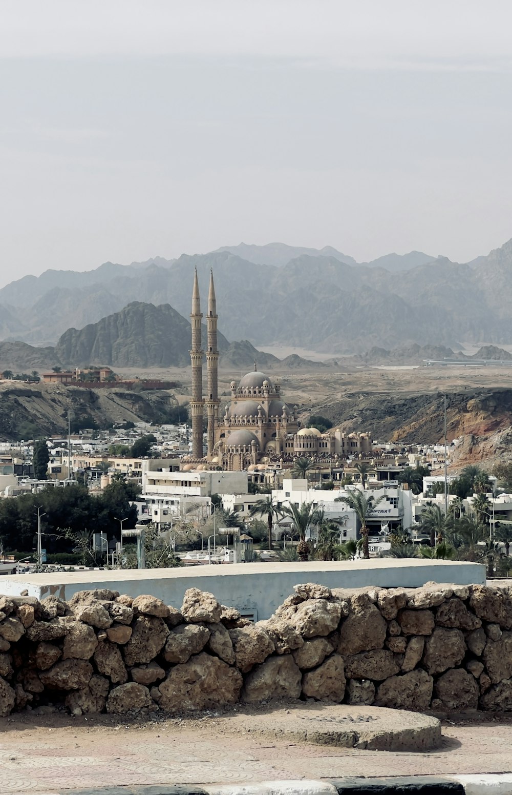 a view of a city with mountains in the background