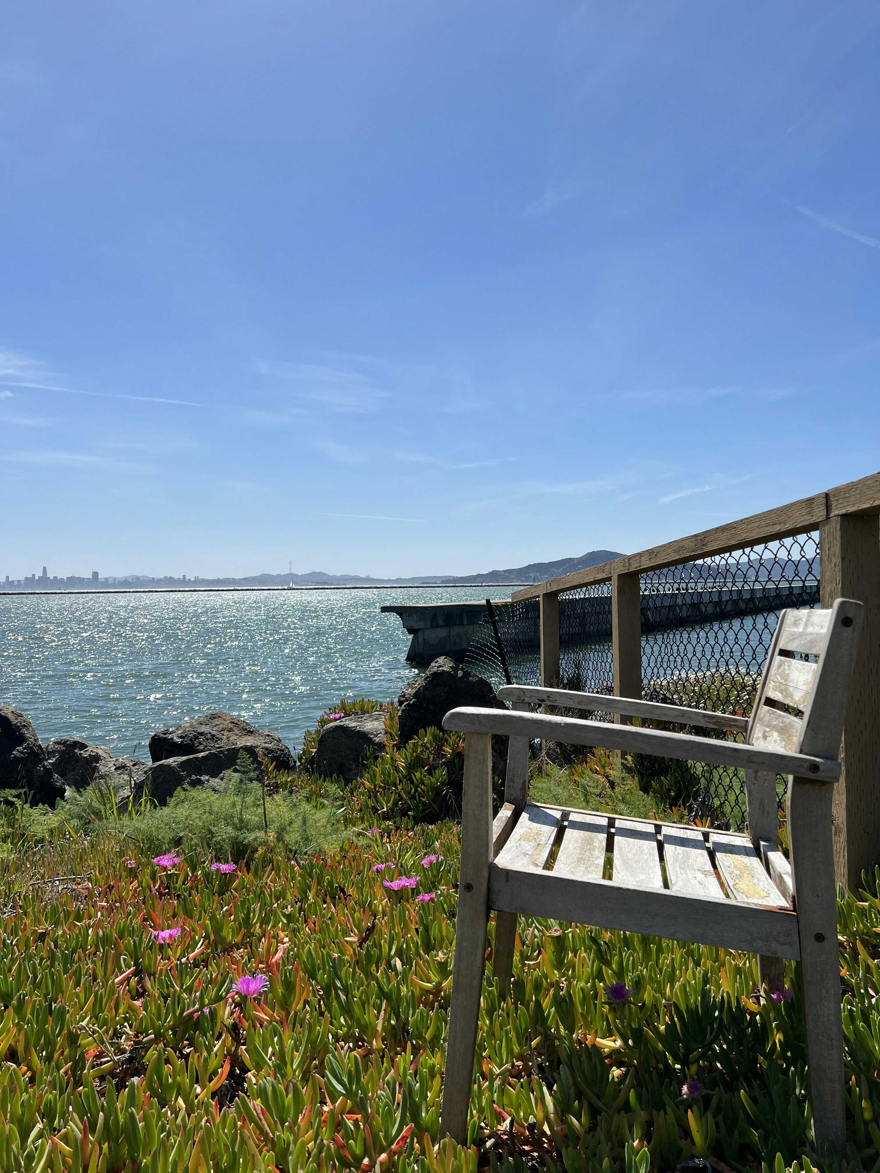 una panchina di legno seduta in cima a un campo verde lussureggiante