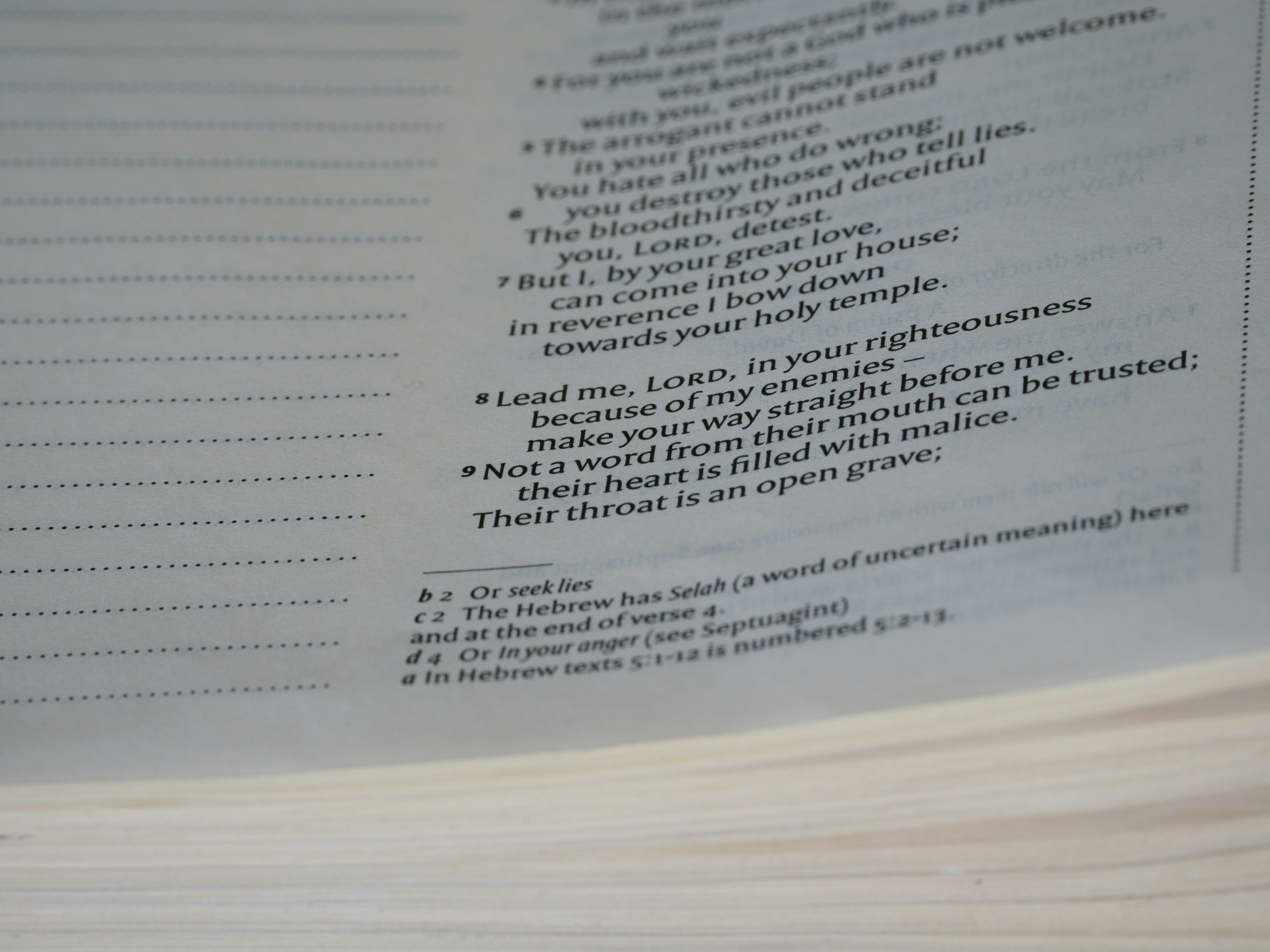 close up, bokeh, macro, blur, blurred background, close focus, bible, old testament, hebrew bible, christian, judaism, history, text, reading, bible study, devotions, text, NIV, New International Version, type, typography, canon, christianity, holy scripture, holy bible, scripture, old testament, hebrew bible, תְּהִלִּים, psalms, psalter, ketuvim, writings, tanakh, king david, <br />