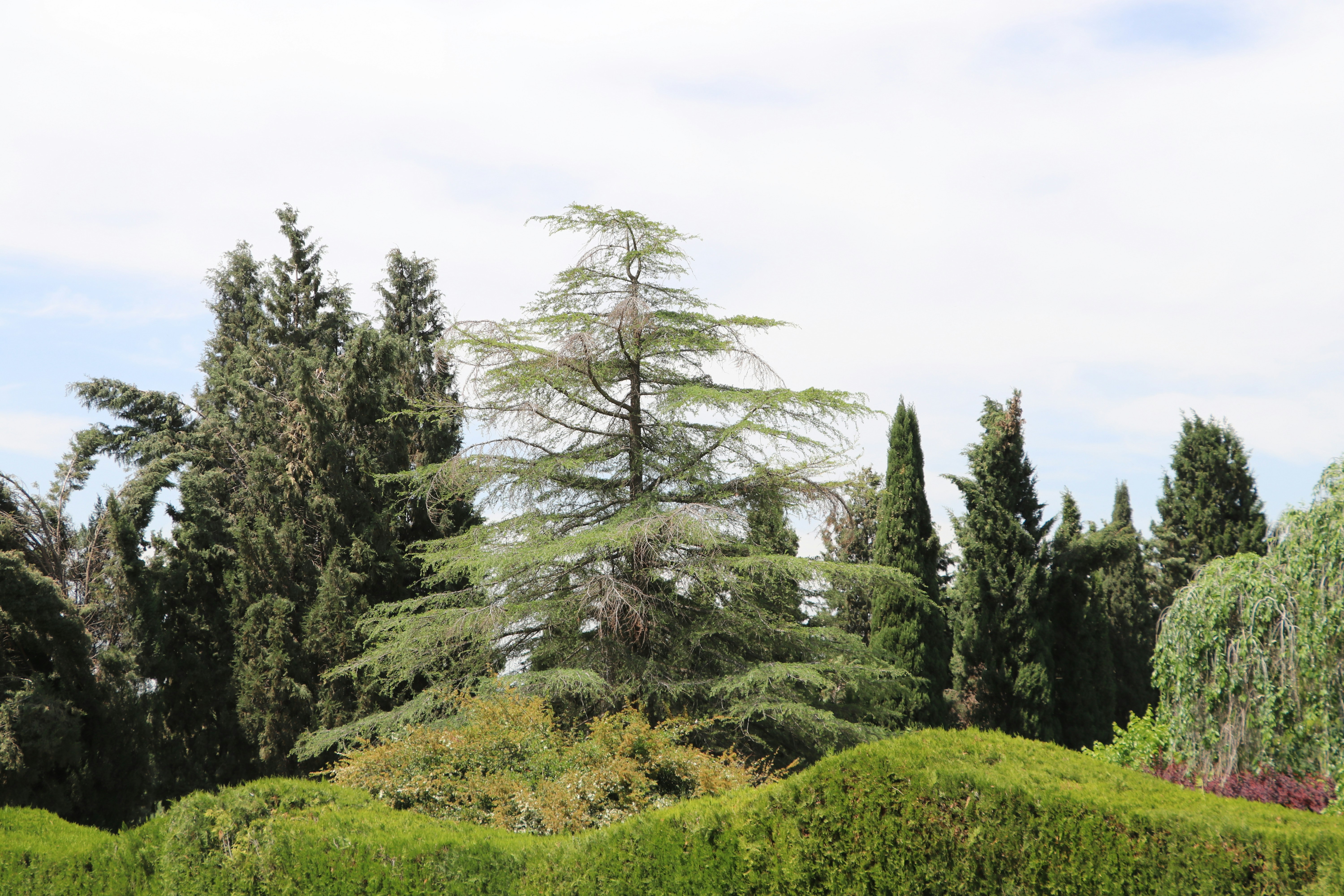 Photo by mohammadrezaphoto