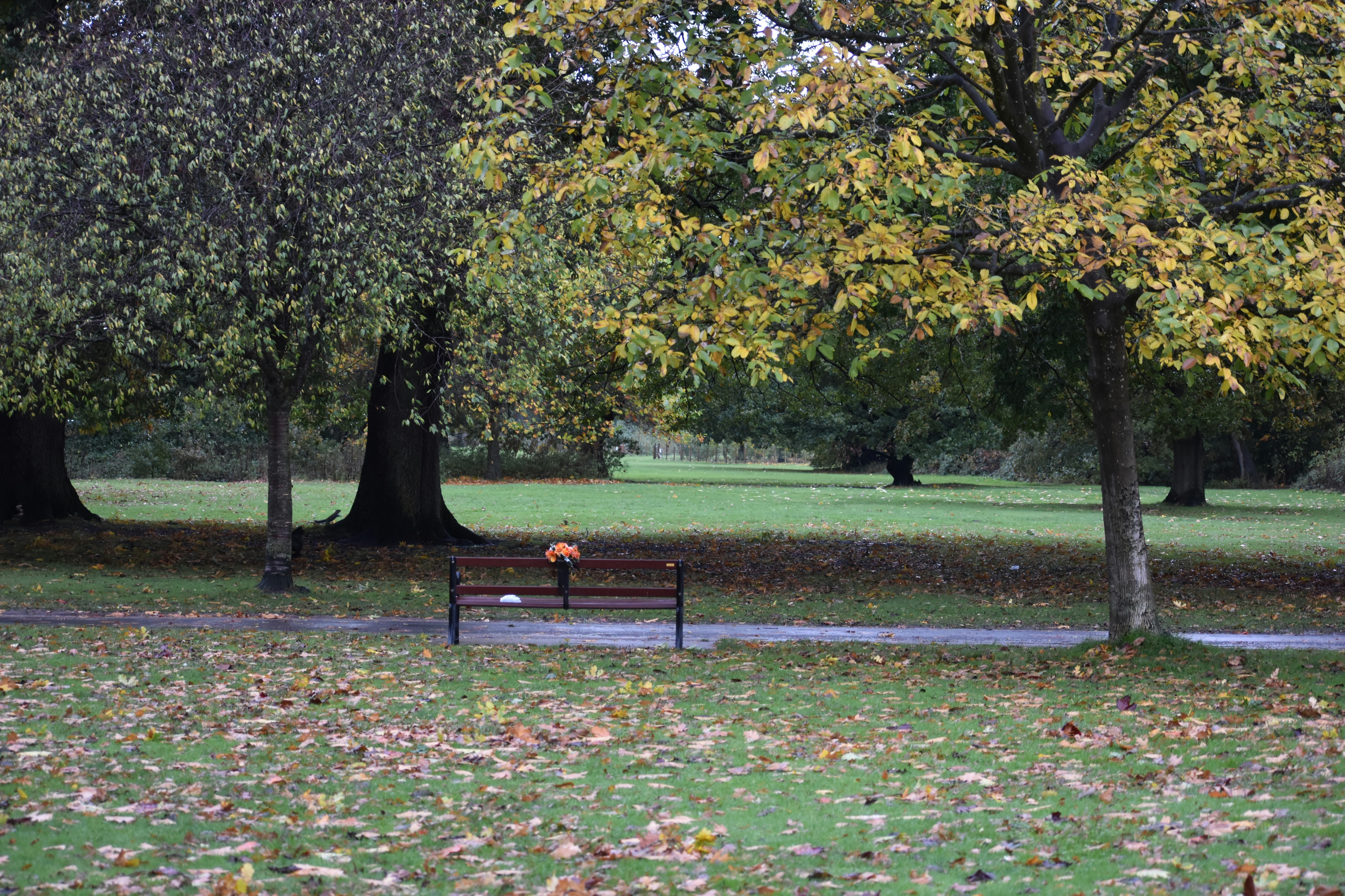 Photo by andrew_hall