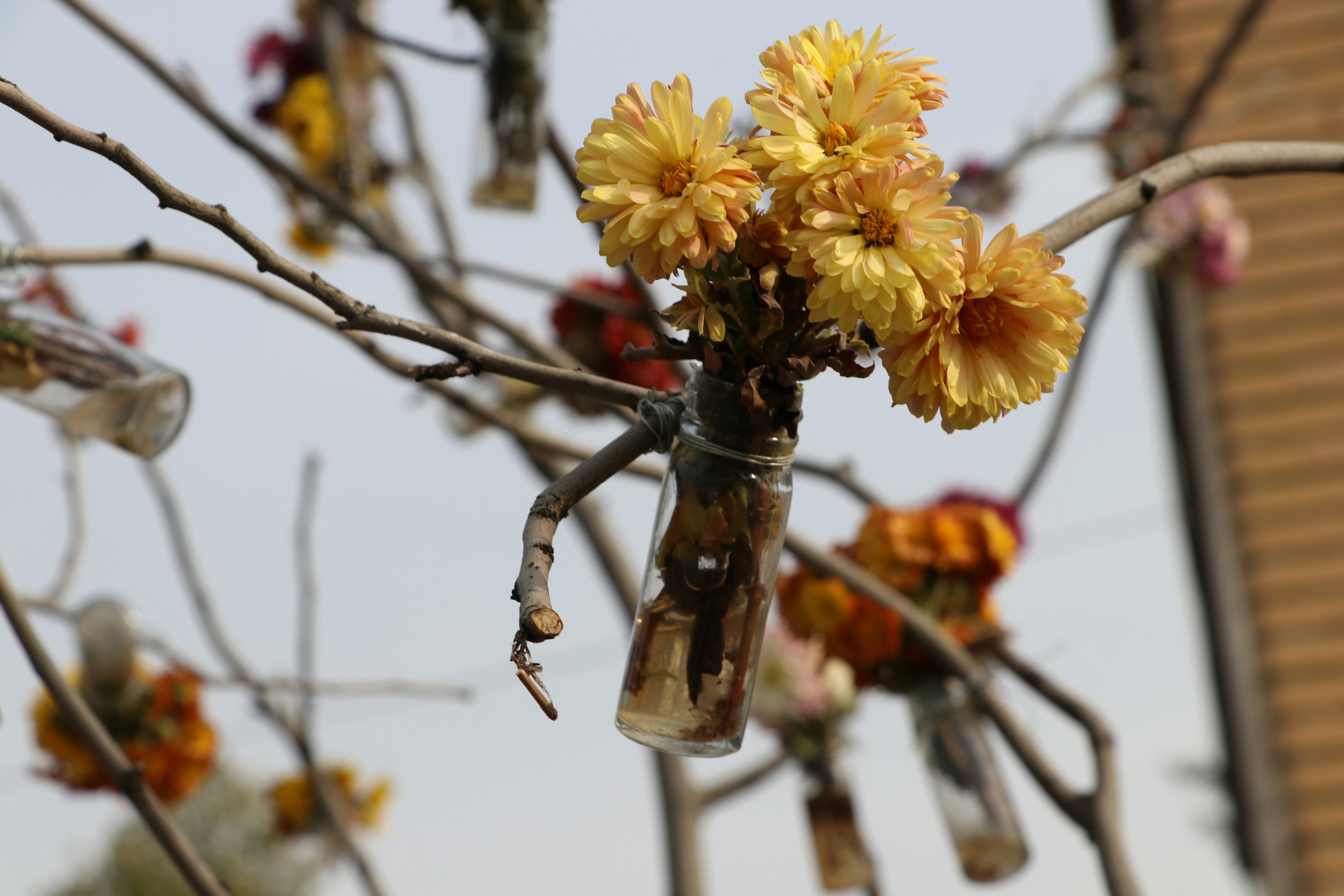 The Importance of Artistic Growth