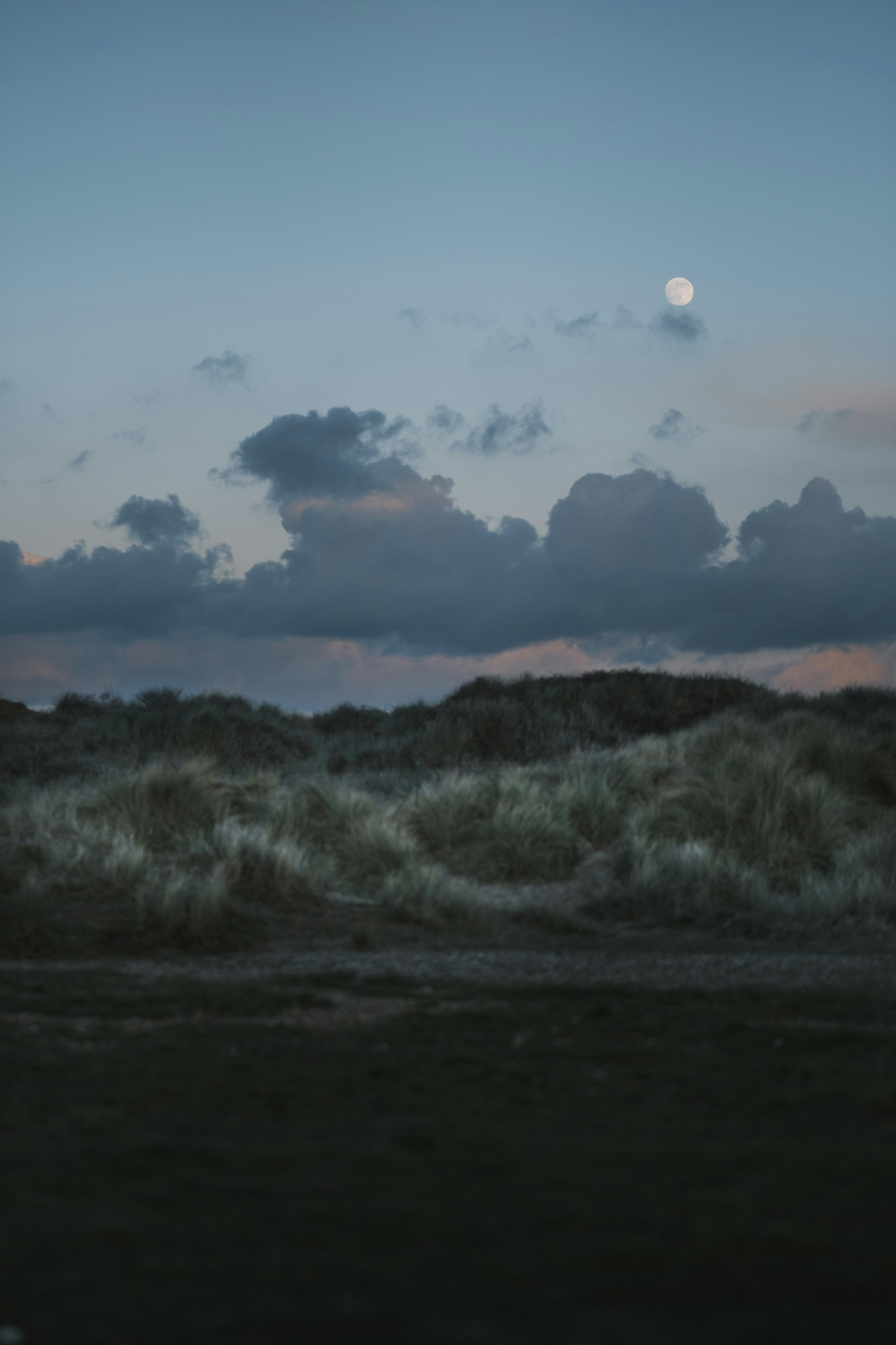 Photo by rossgrant79