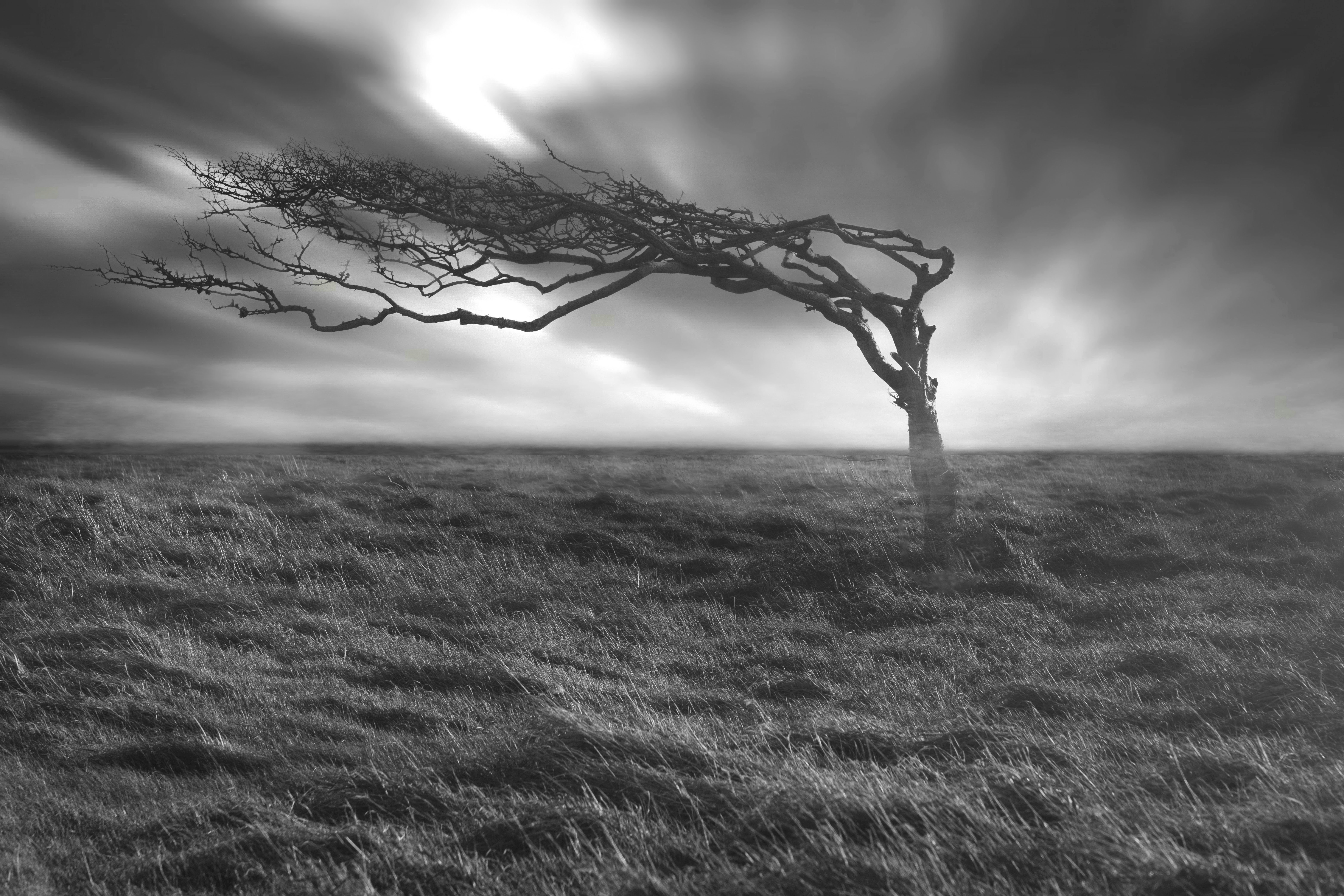 Photo by rossgrant79