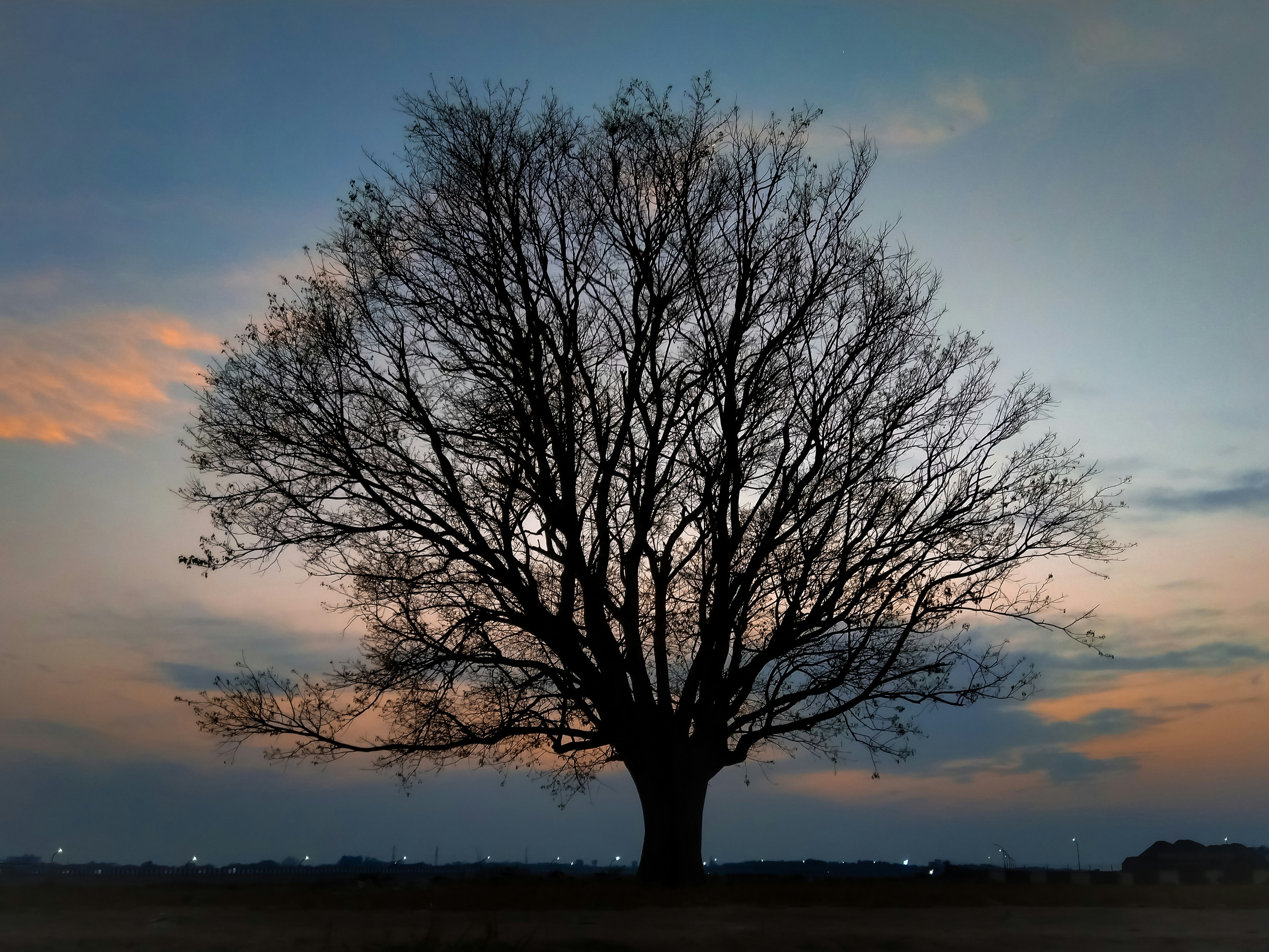 Photo by wannabe__fotographer