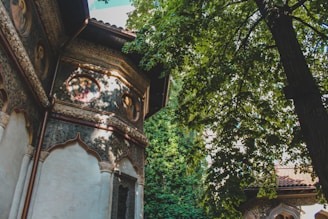 Architectural structure with intricate designs on the walls and curved arches. The building has ornate carvings and circular mural paintings. A large tree with dense foliage partially shades the building, adding a natural element to the scene.