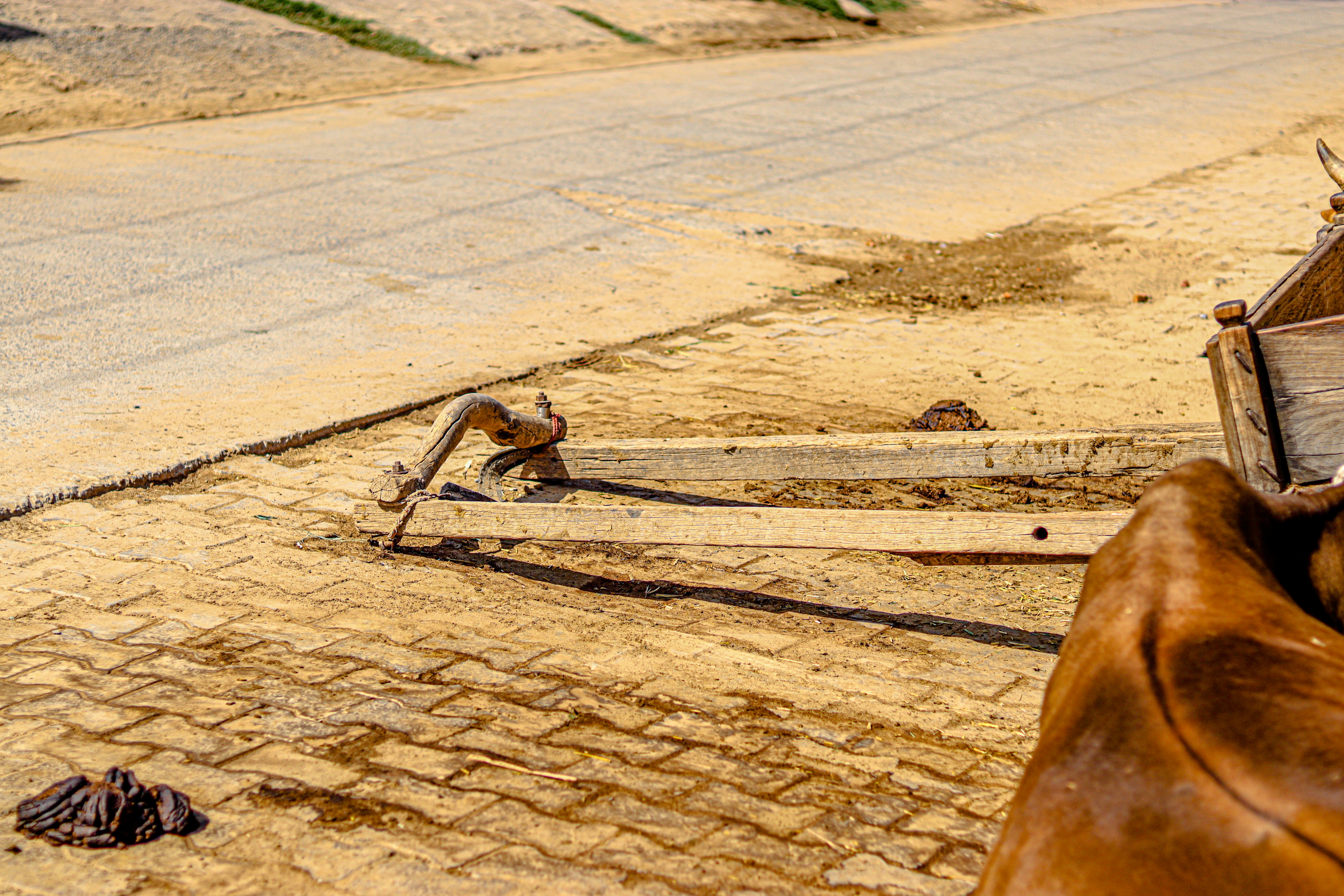 Photo by swastikarora