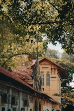 Close-up of traditional colonial architecture framed by olive green foliage.
