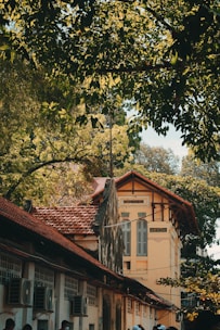 Close-up of traditional colonial architecture framed by olive green foliage.