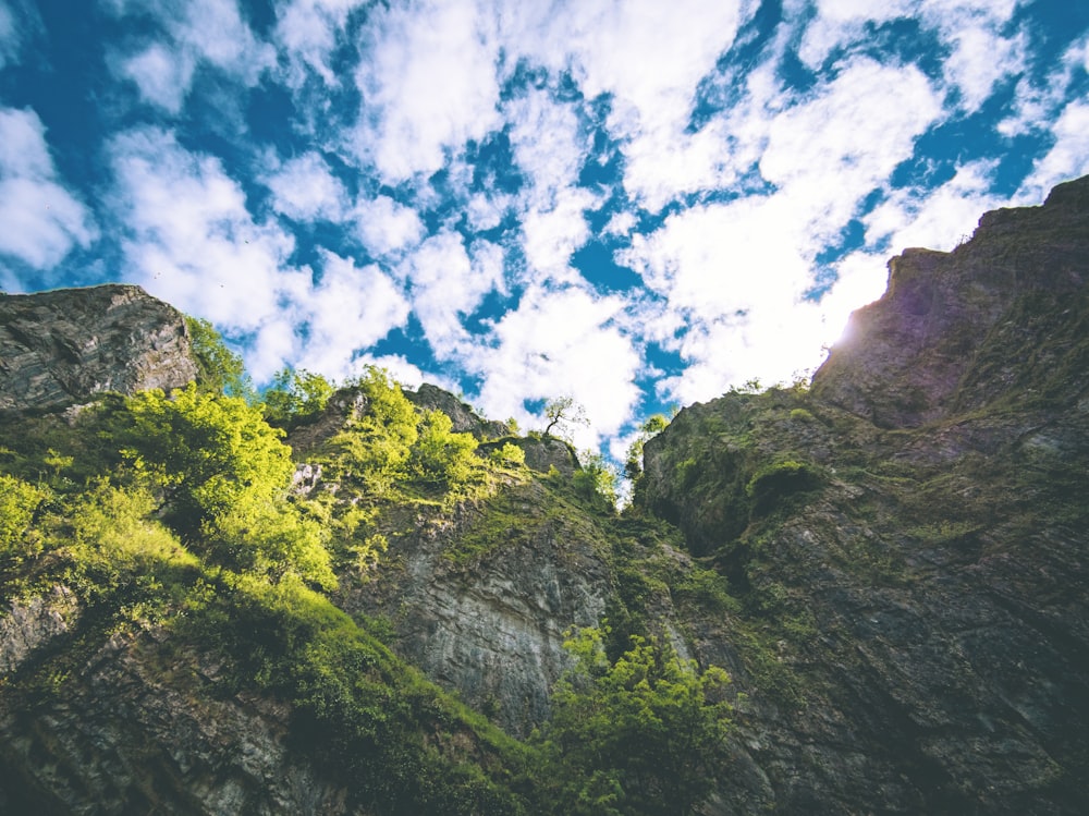 Blick auf eine felsige Klippe mit darauf wachsenden Bäumen